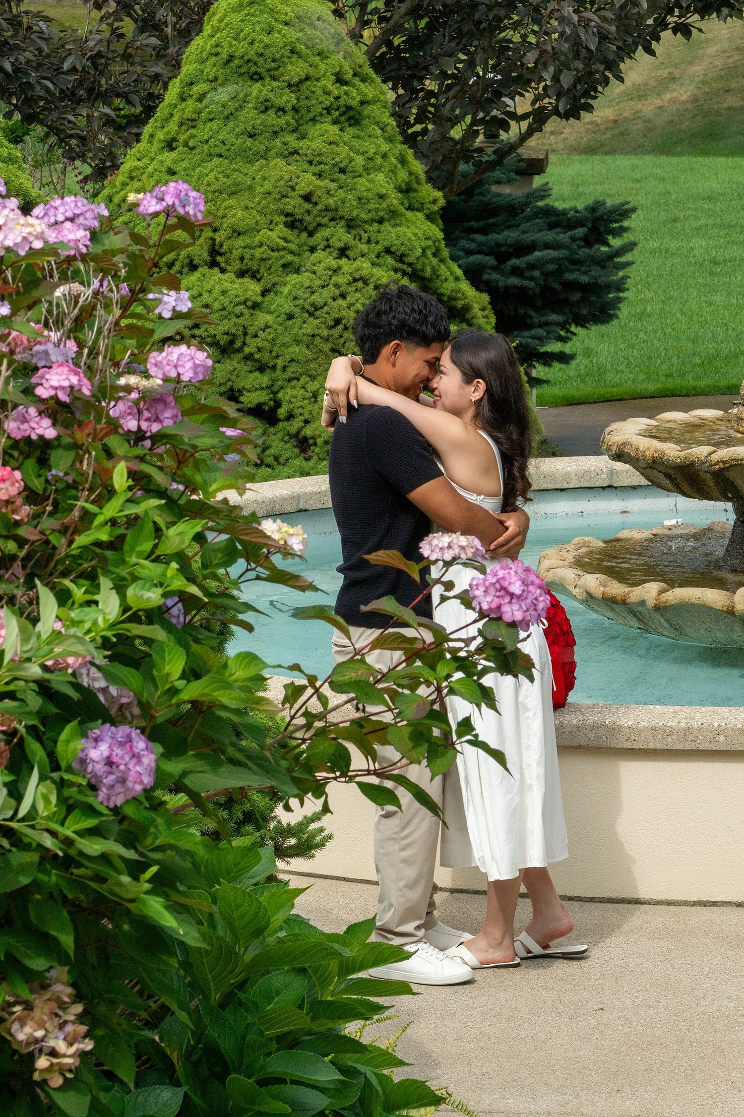 Couple embracing romantically by a garden fountain surrounded by blooming pink hydrangeas and lush green trees.