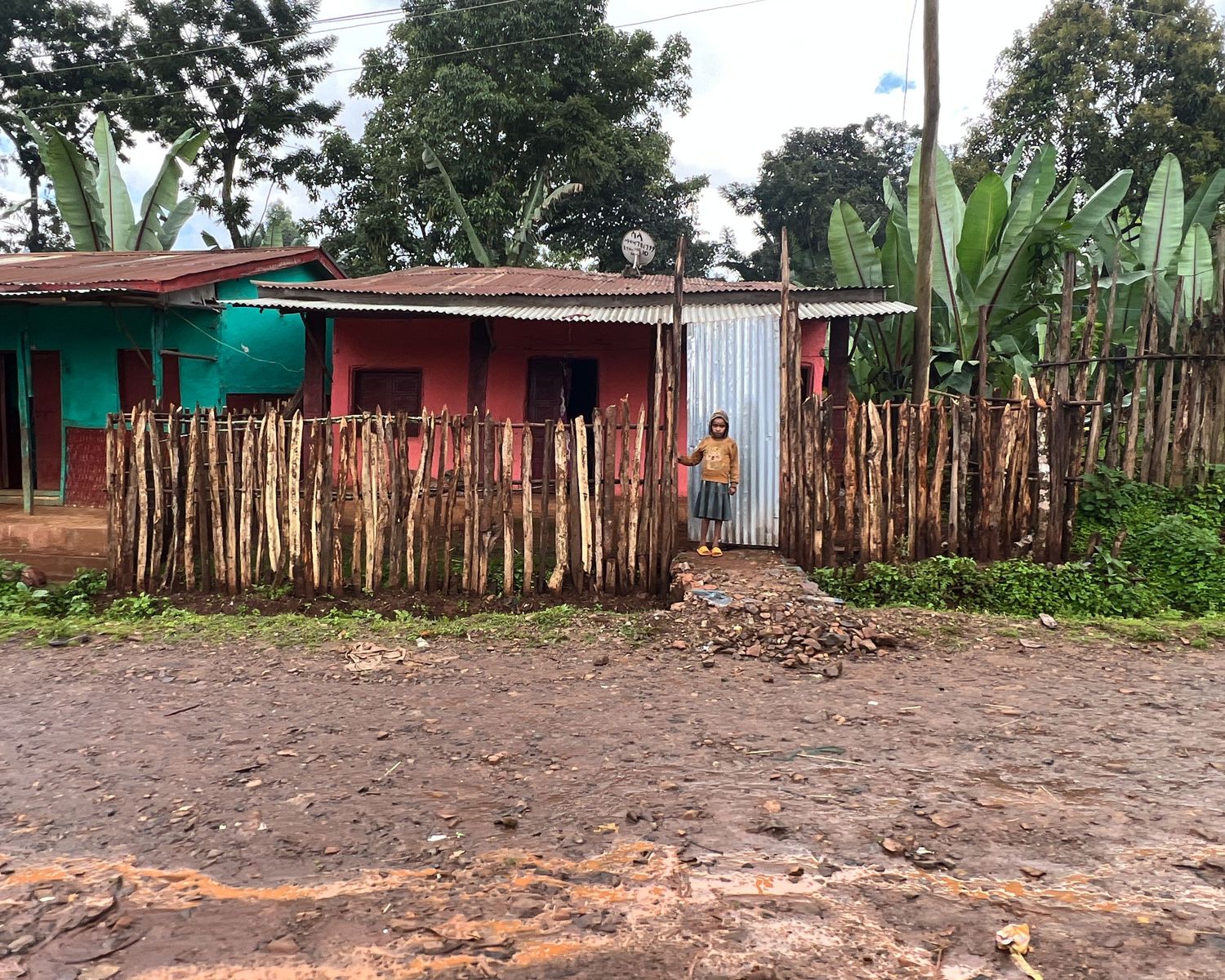 Row of basic wooden and metal structures along a dirt path with tropical vegetation in background.