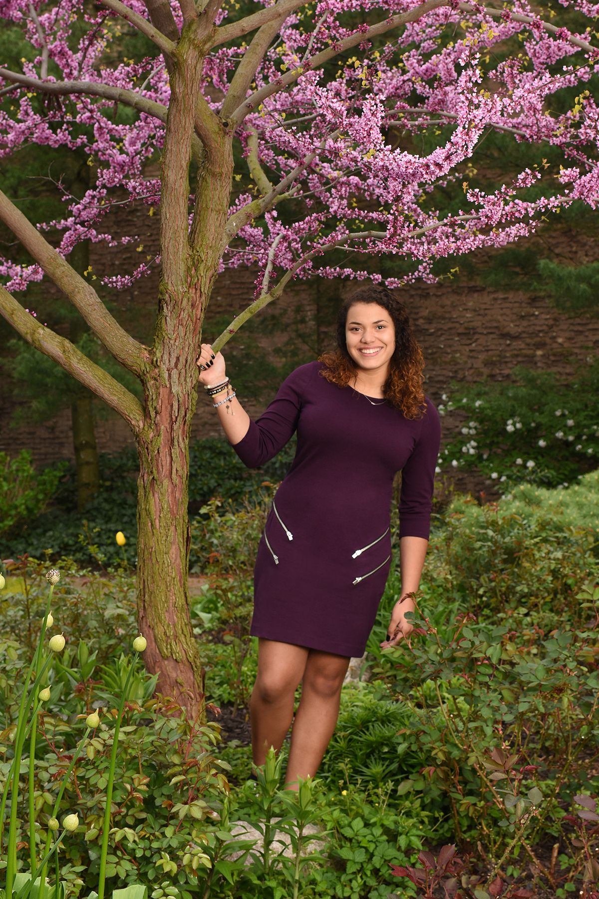 Purple dress against blooming cherry blossom tree in spring garden setting.