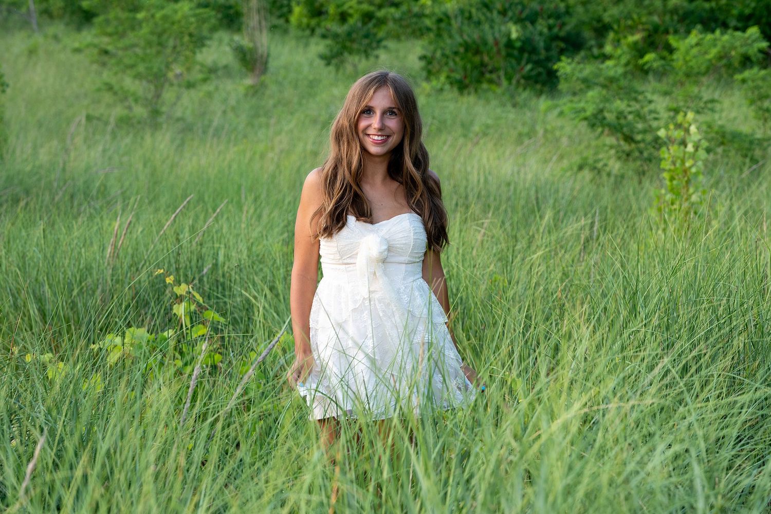 Summer meadow scene with tall grass and wildflowers at sunset.