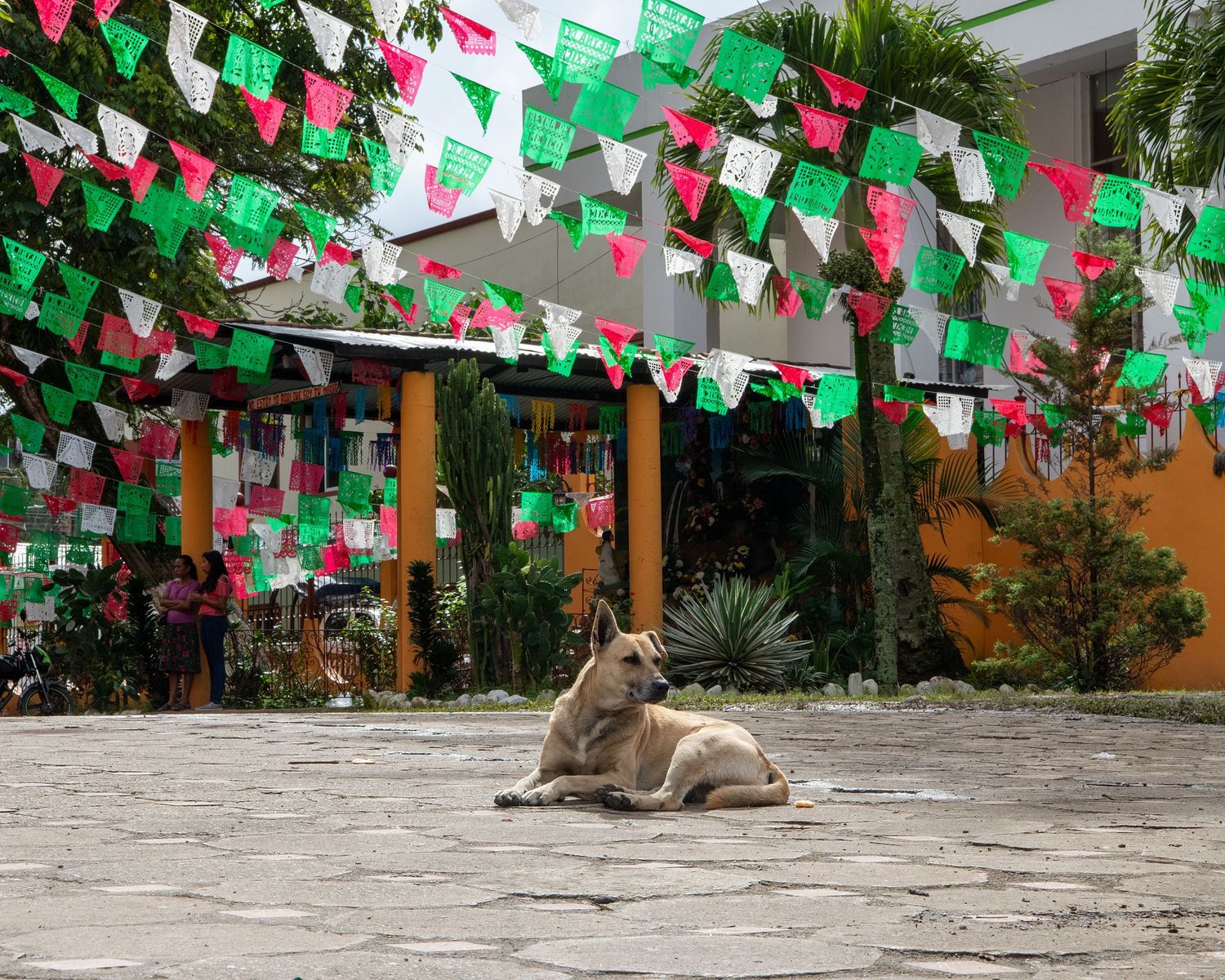 Outdoor courtyard decorated with red and green triangle banners strung overhead.
