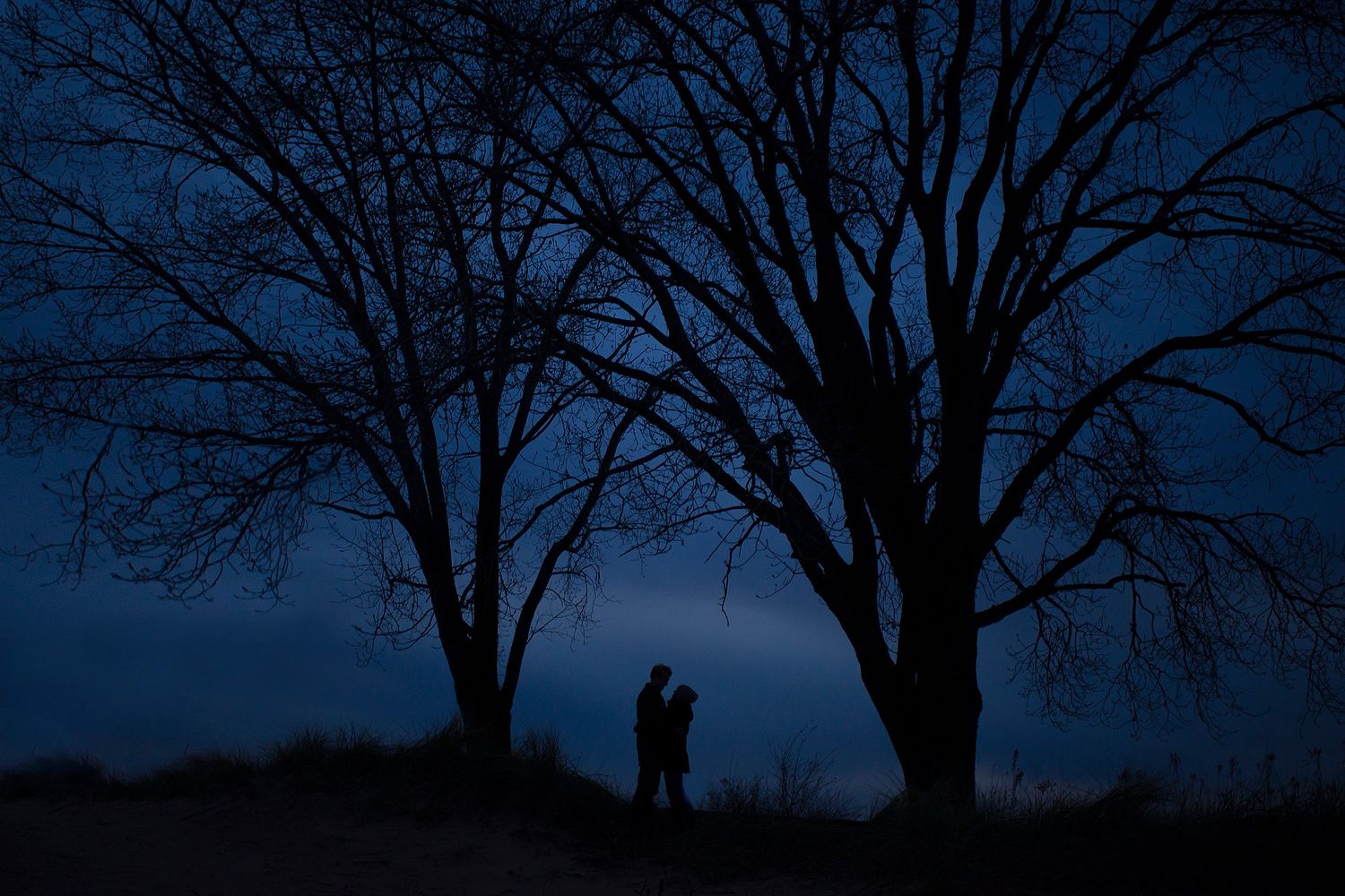 Silhouette of a couple standing between two bare trees at dusk in a moody blue twilight landscape.