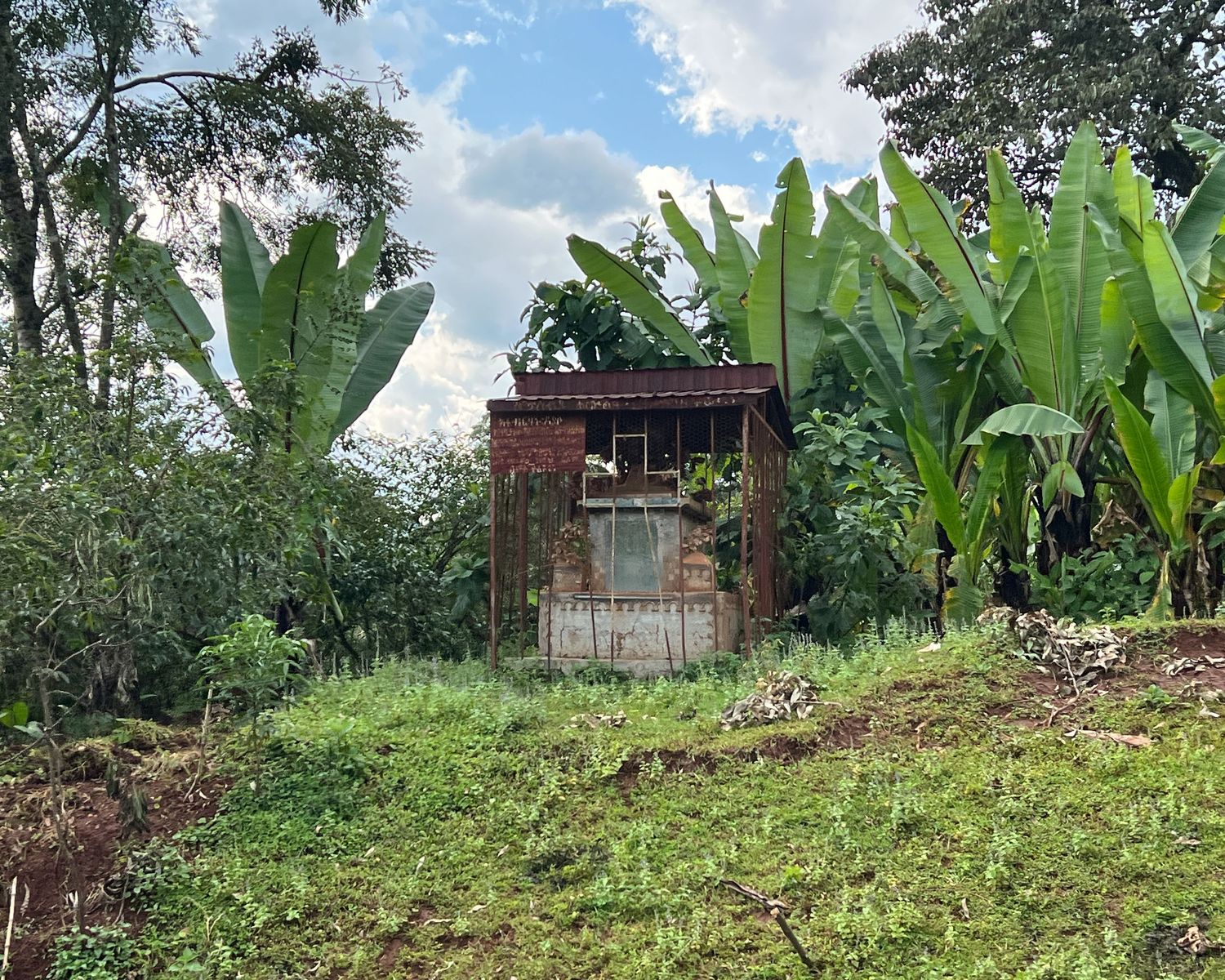 Lush tropical vegetation and banana plants surround rural village structures.