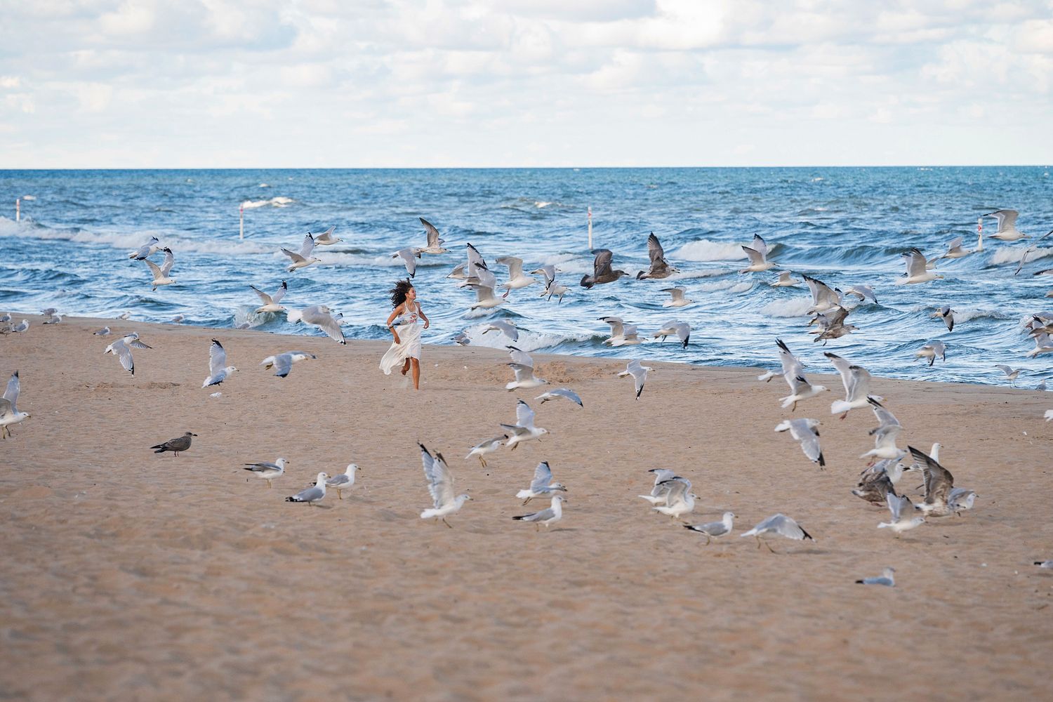 Seagulls gather on a sandy beach near the water's edge on a sunny day.