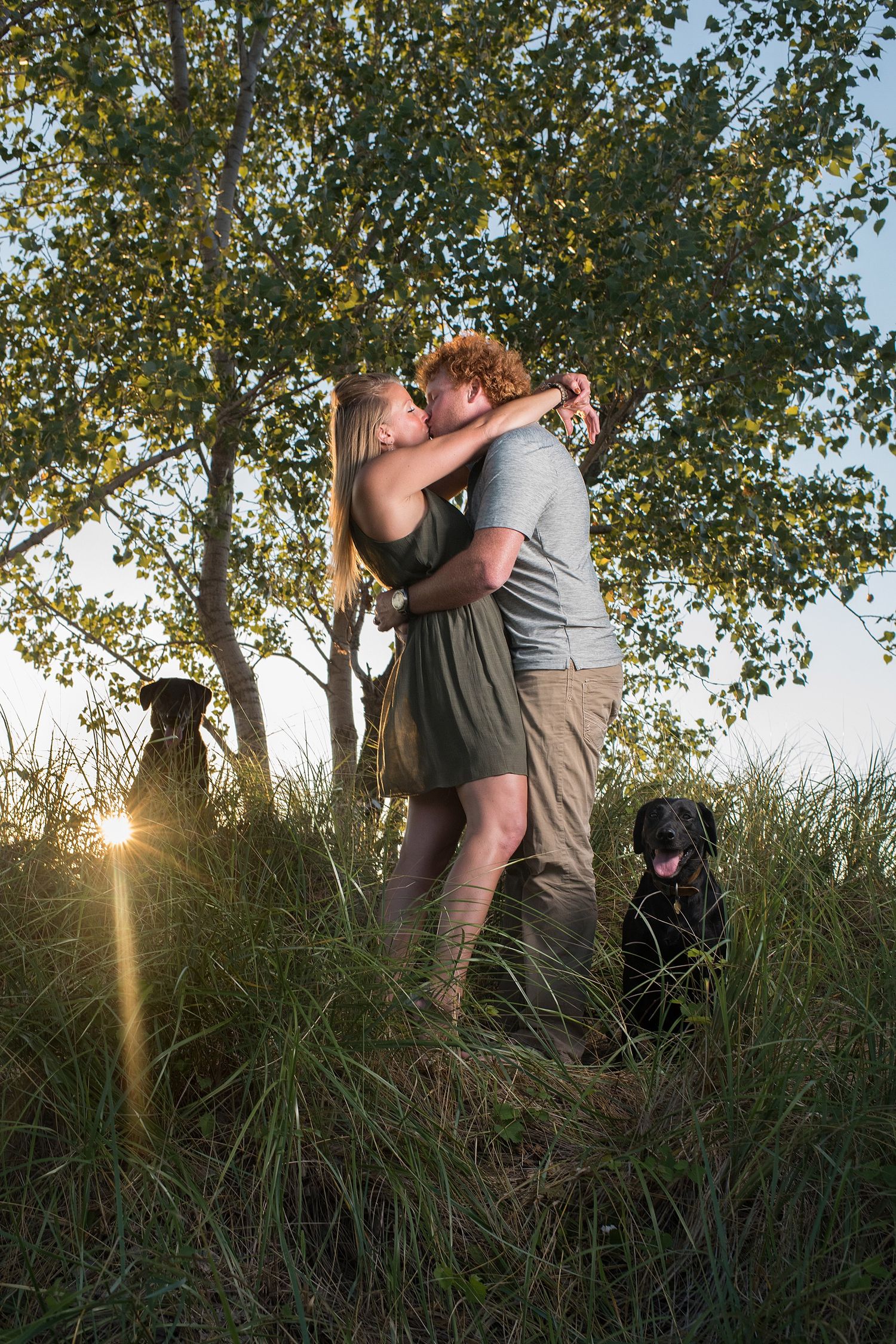A couple embraces in tall grass at sunset with trees silhouetted in the background.