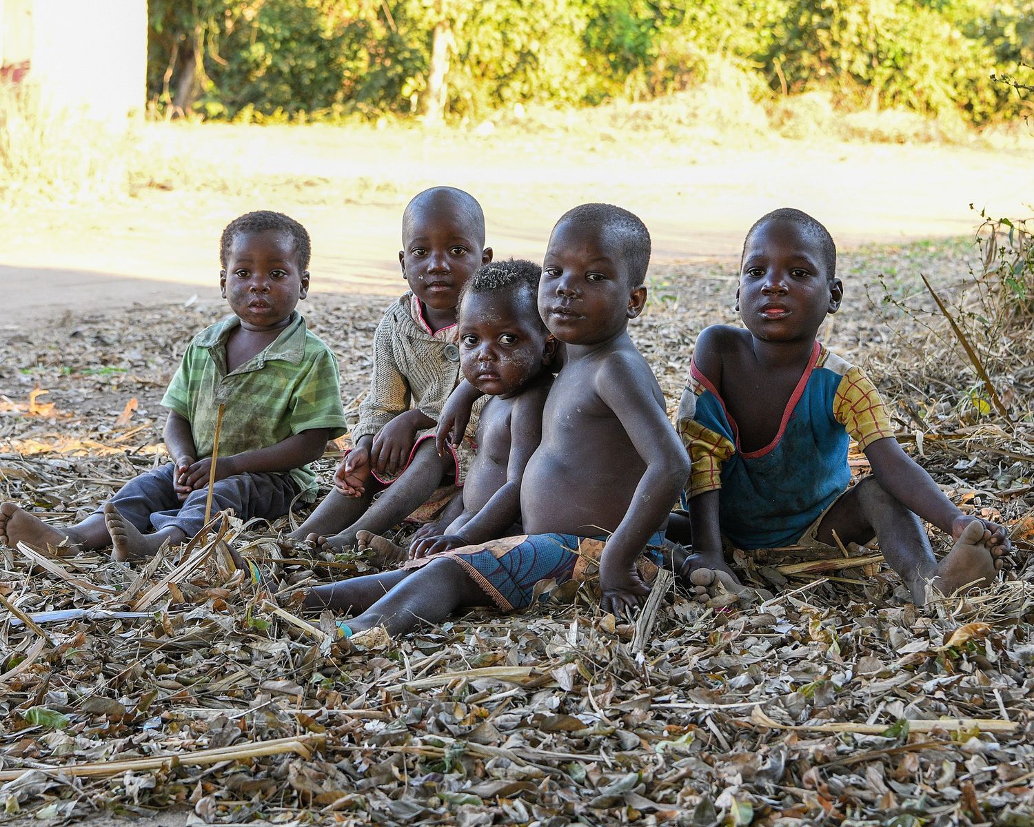 Children relaxing together on fallen autumn leaves in natural lighting.