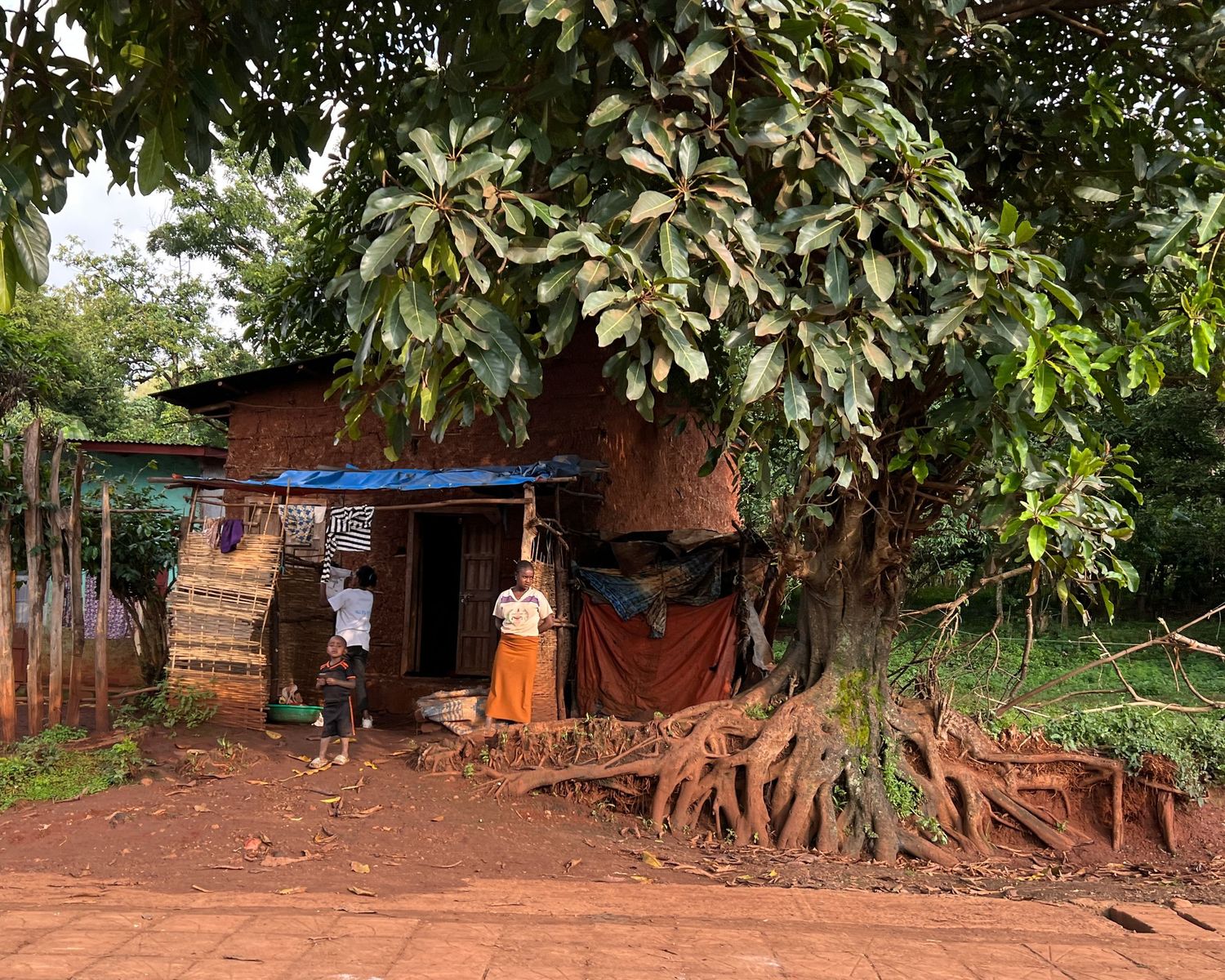 Rural village scene with dirt paths and small buildings under lush green trees.