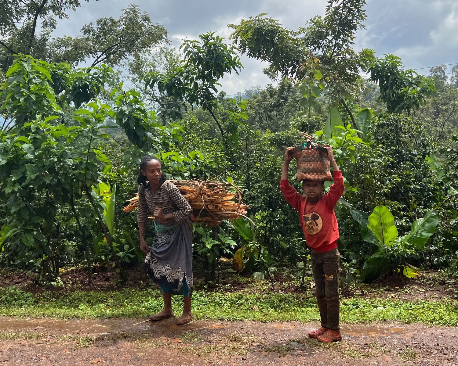 People carrying goods and supplies along a dirt path through green vegetation.