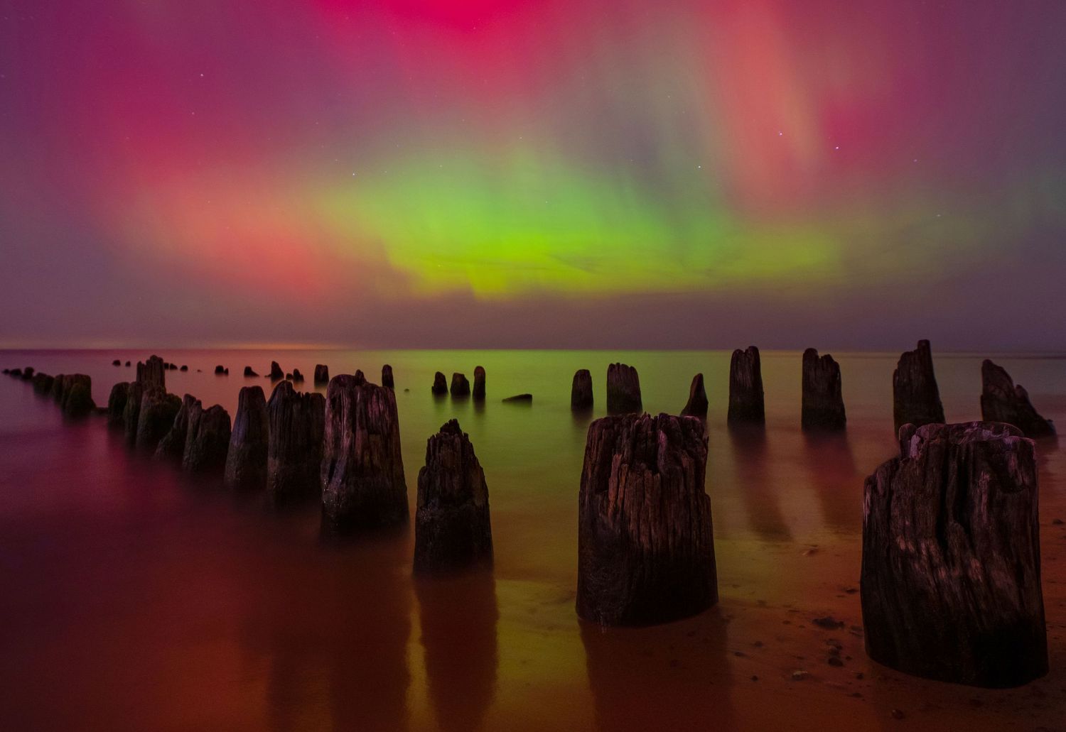 Aurora borealis illuminates vibrant pink and green sky over weathered wooden pier pilings reflected in calm coastal waters.