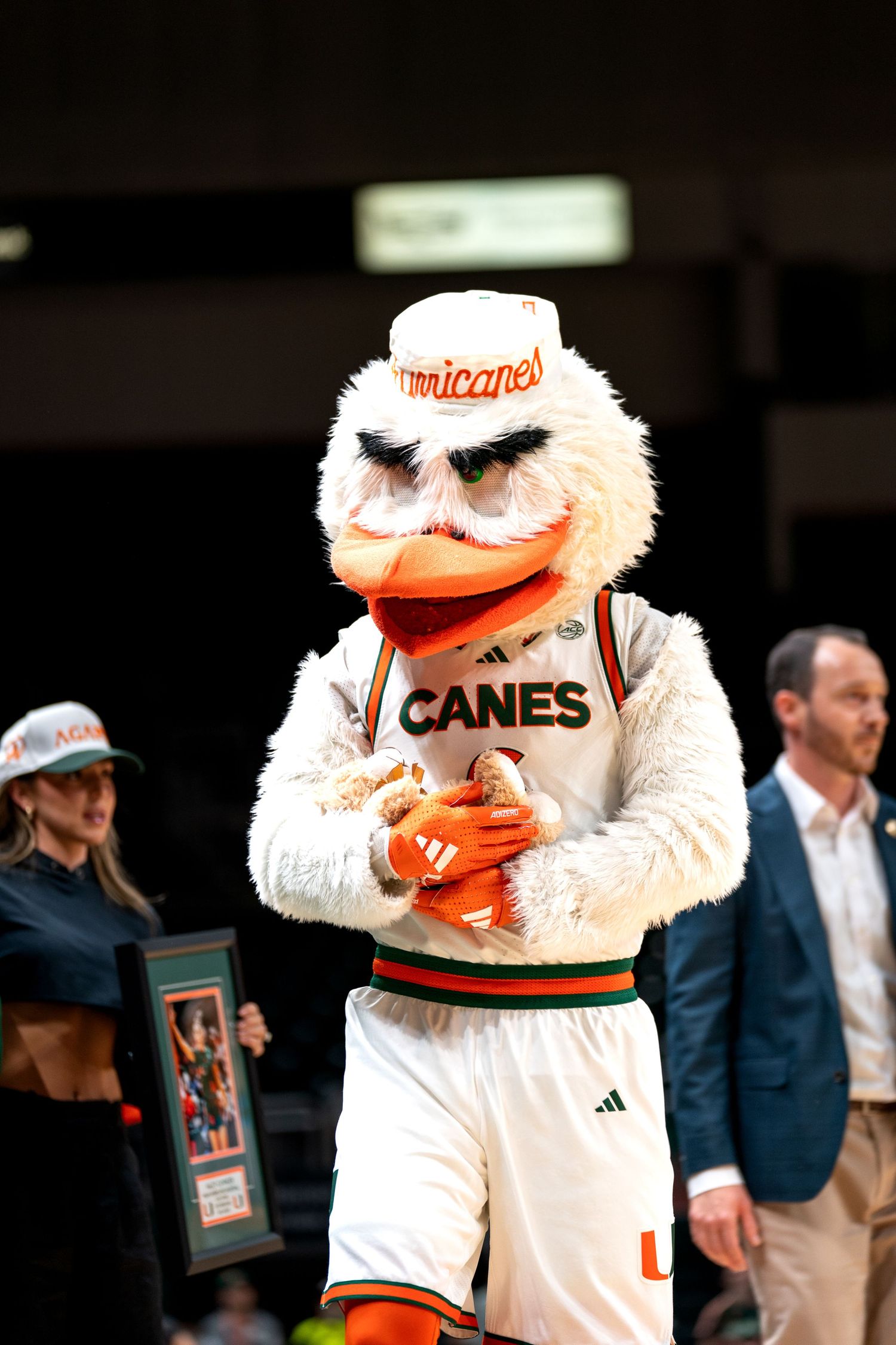 Miami Hurricanes mascot Sebastian the Ibis entertains the crowd during a basketball game.