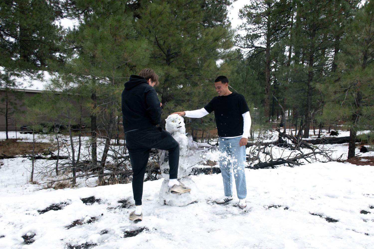 People enjoying a snowy winter day in a forest clearing surrounded by evergreen trees.