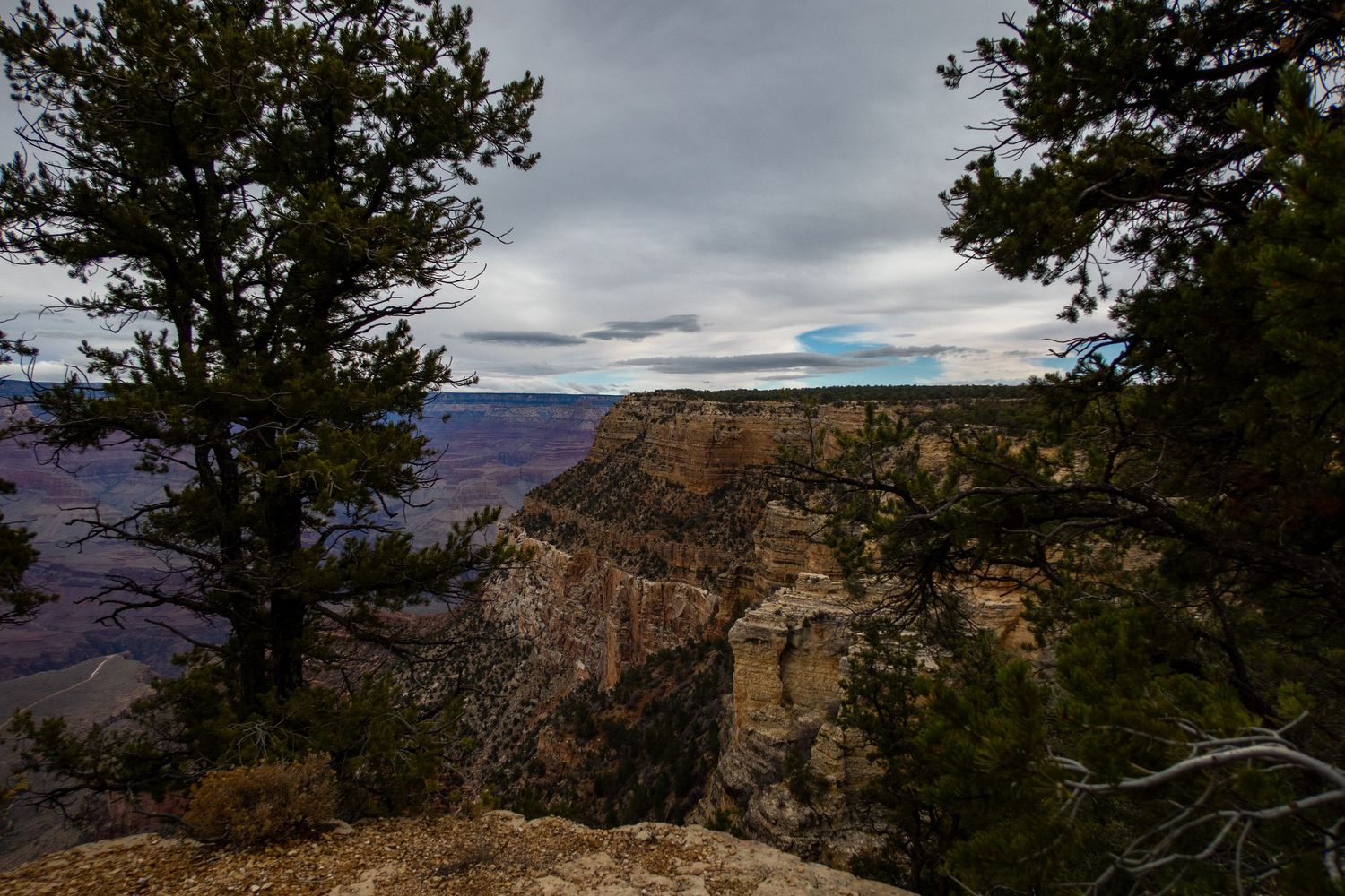Natural rock formations and evergreen trees line the rim of the Grand Canyon on a cloudy day.