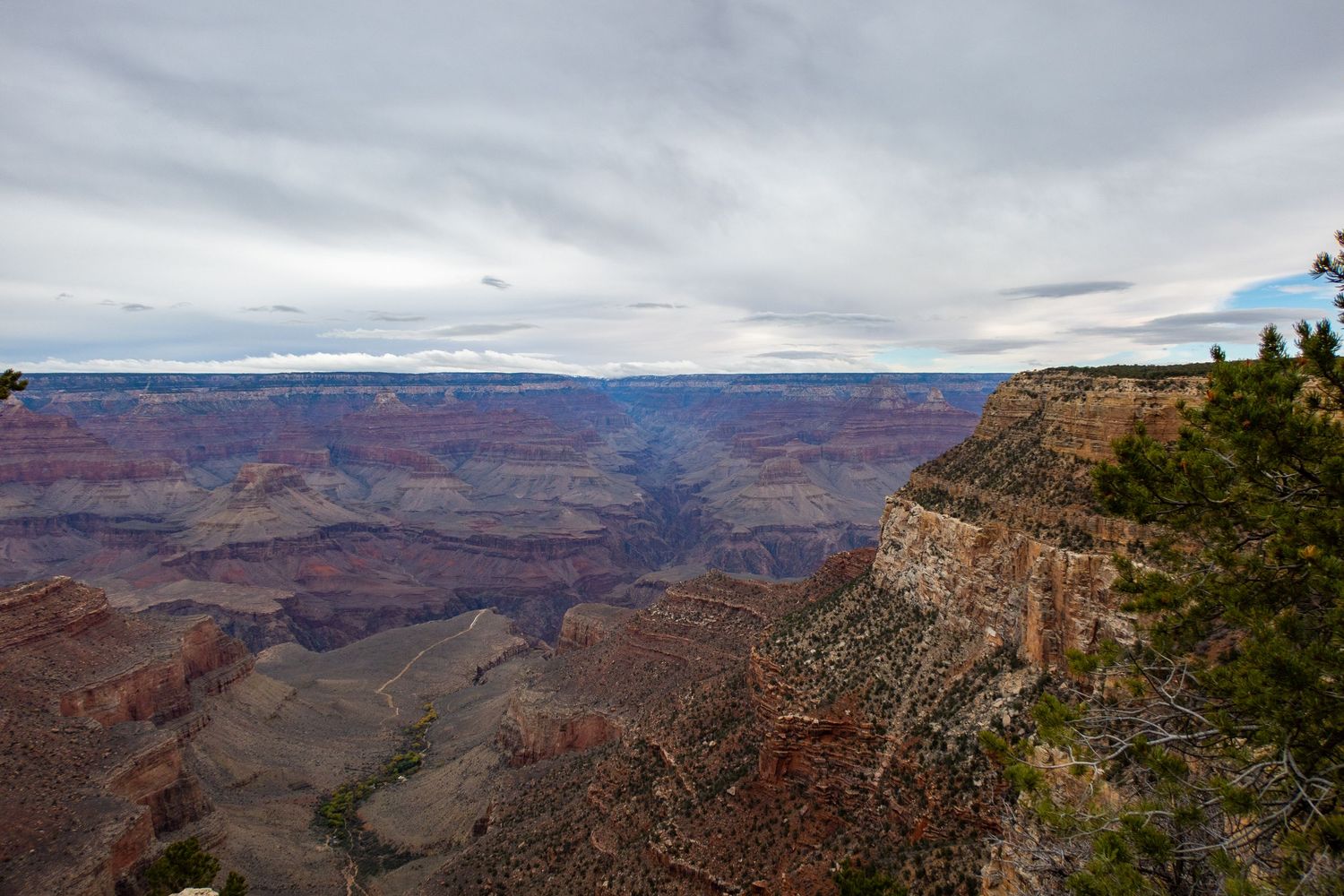 Dramatic wide-angle view of Grand Canyon's layered rock formations under overcast sky.
