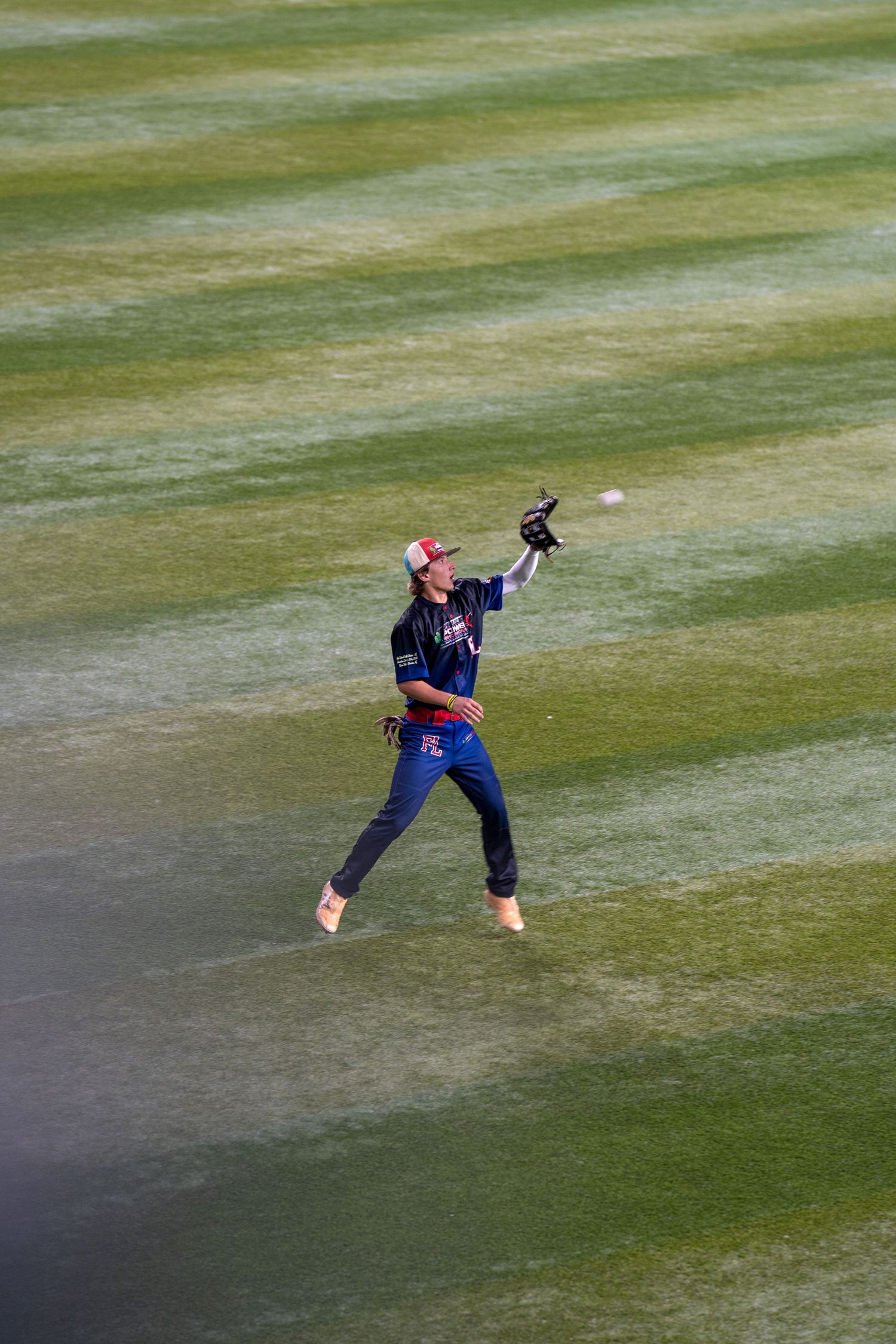 A cricket player in blue uniform jumps high to catch a ball on a green cricket field.
