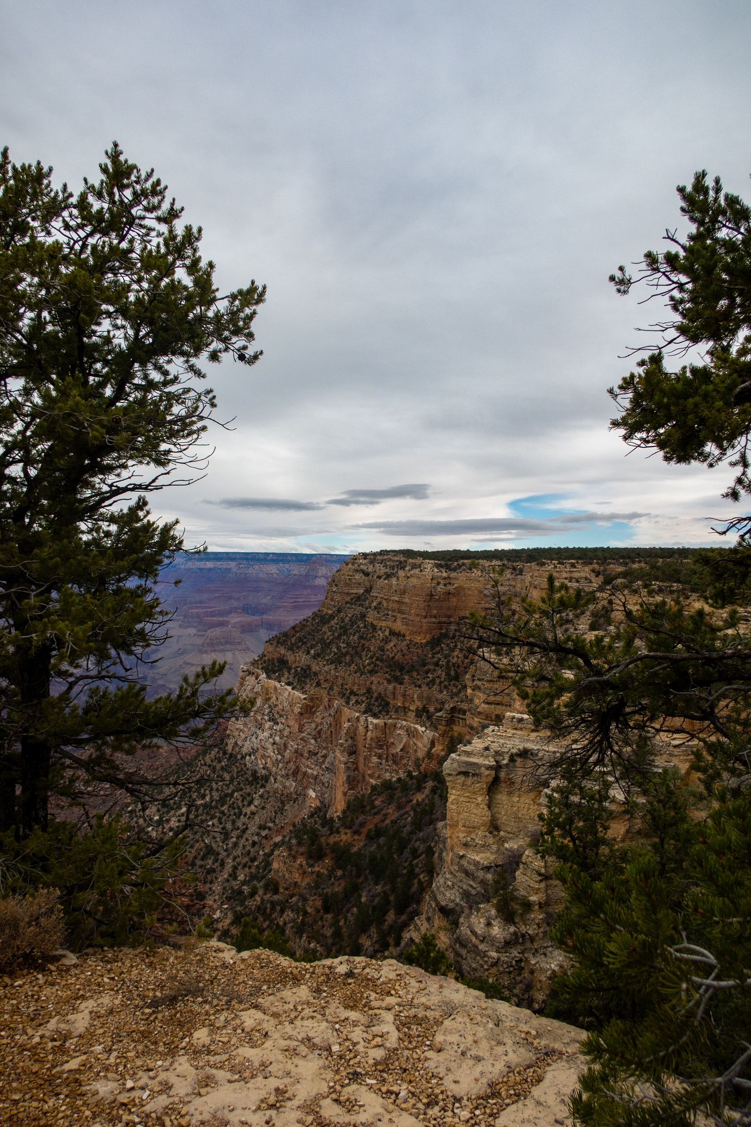 Expansive Grand Canyon landscape featuring layered cliffs and pine trees under partly cloudy skies.
