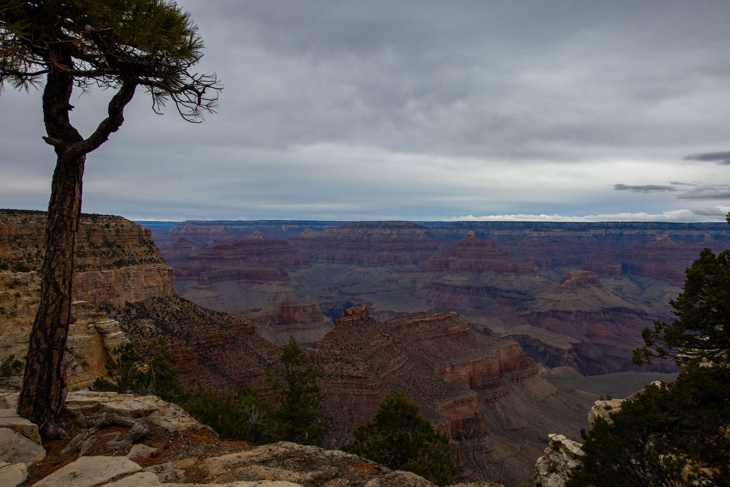Scenic overlook of the Grand Canyon's vast landscape under moody overcast skies.