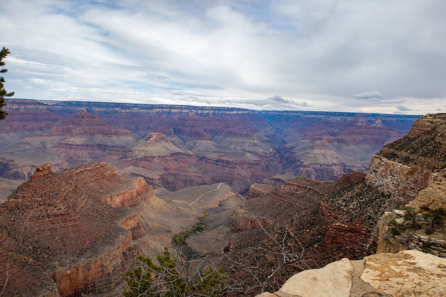 Scenic vista of the Grand Canyon's eroded cliffs and mesas stretching into the distance.