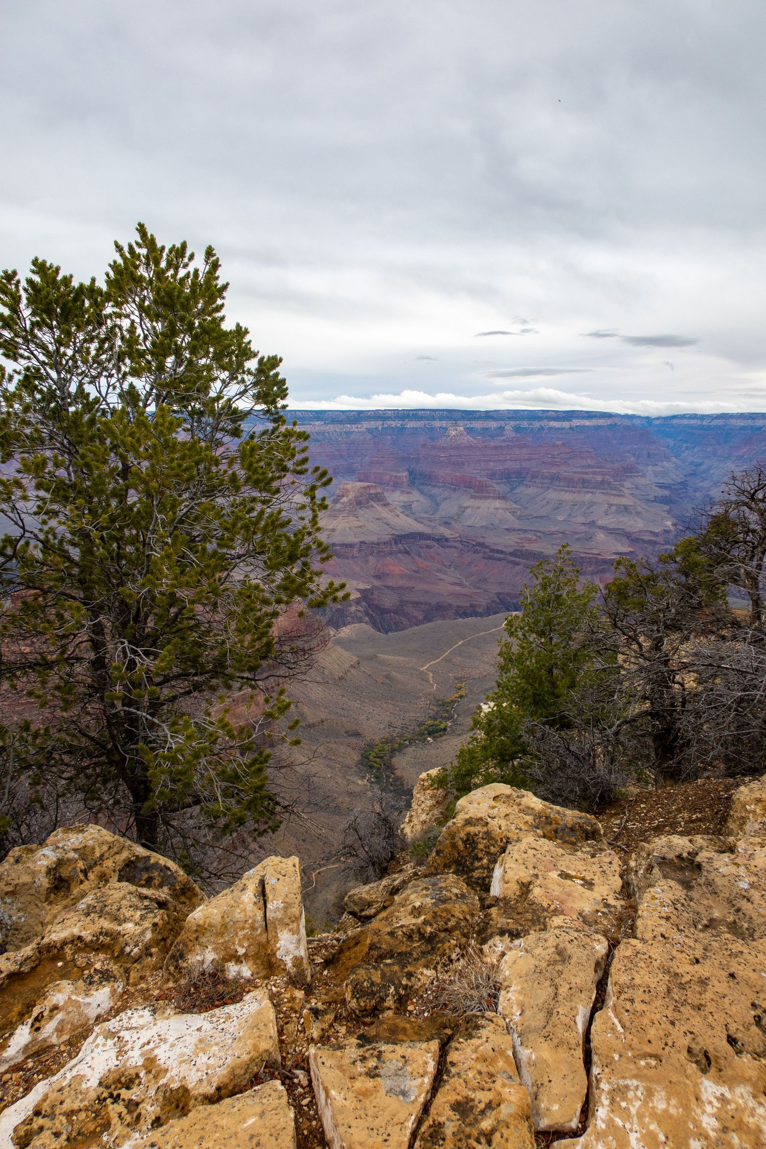 Panoramic view of the Grand Canyon's rugged cliffs and deep valleys under cloudy skies.