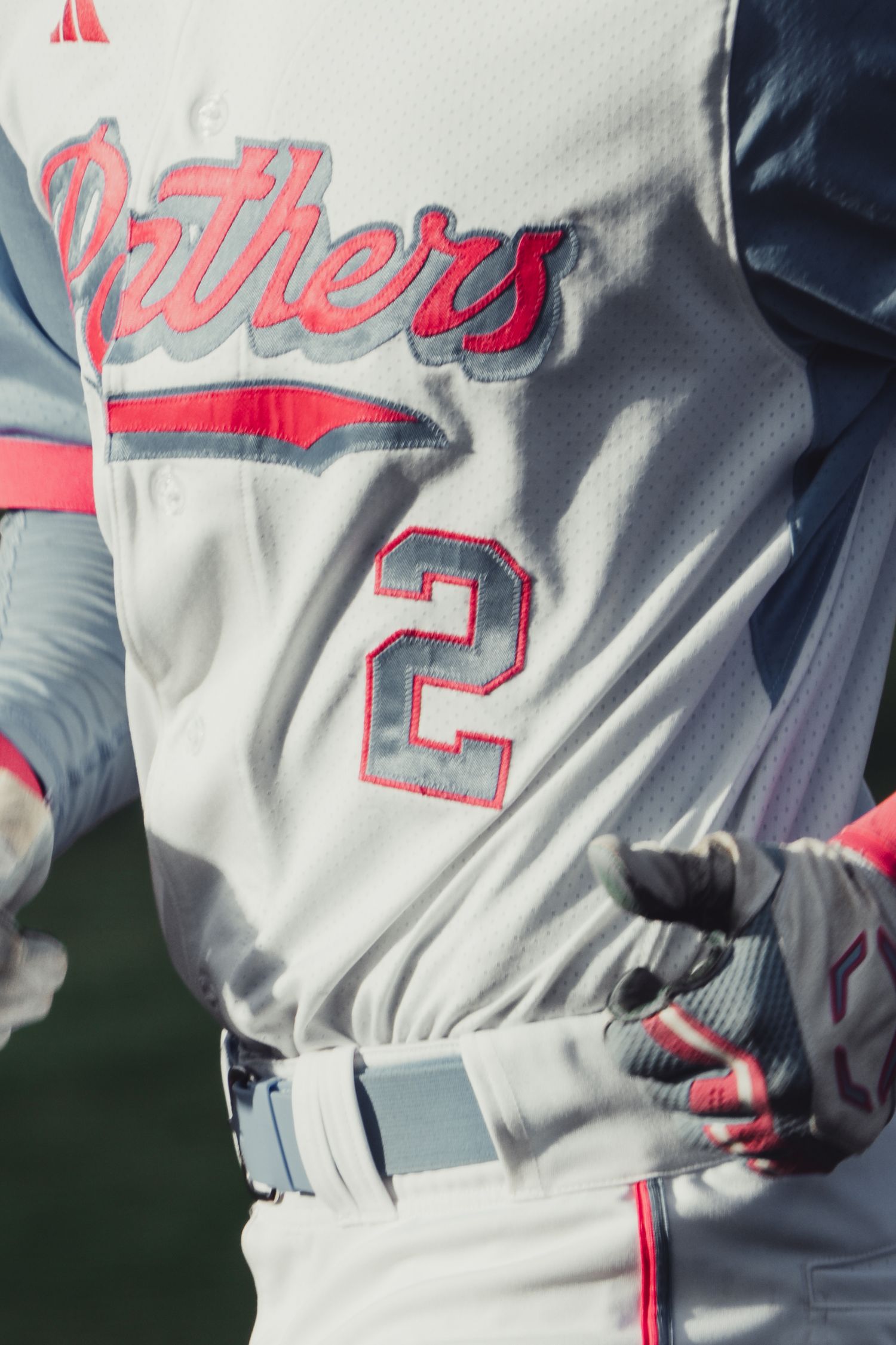 Close-up of a Panthers baseball player wearing gray jersey number 2 with red lettering and gloves.