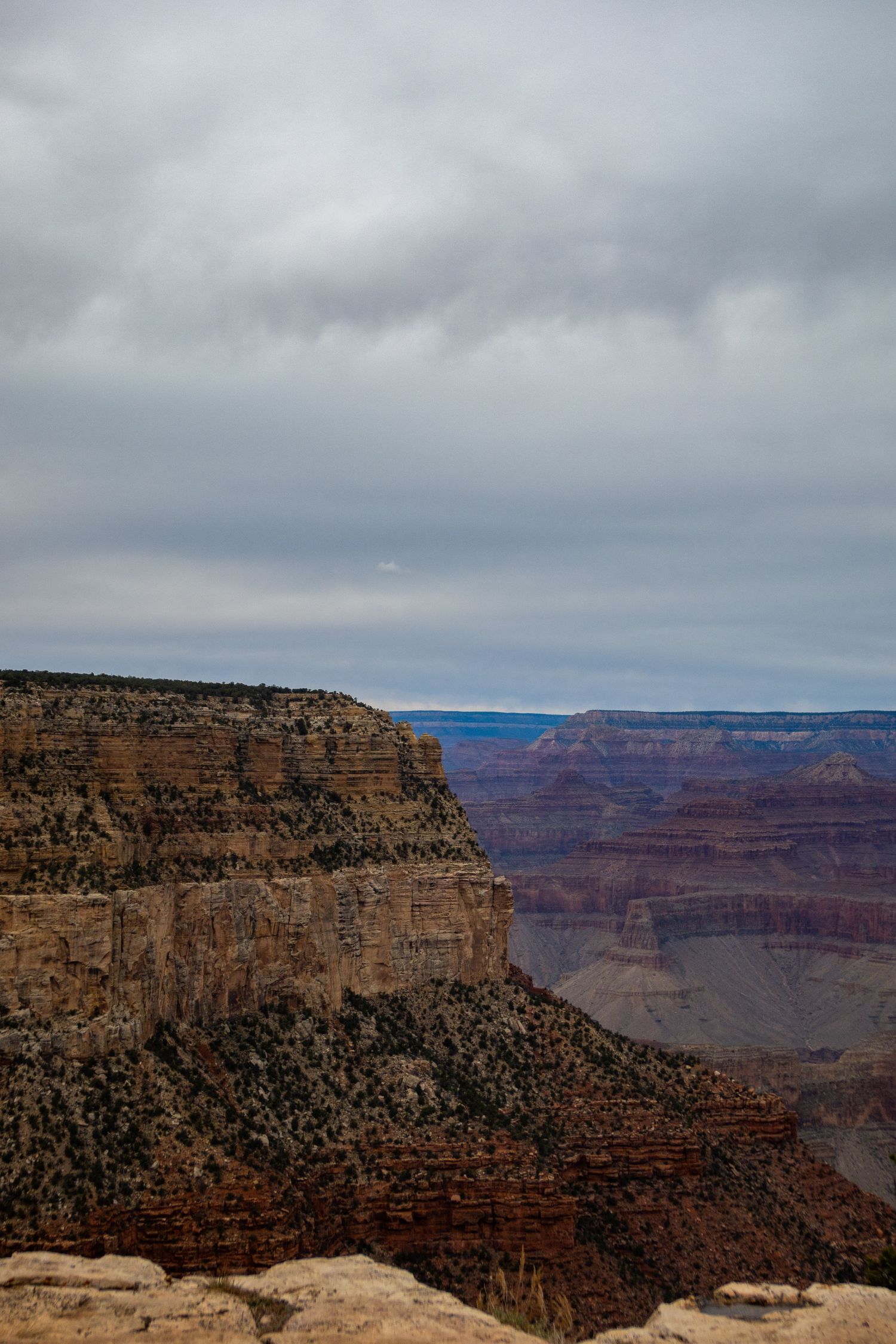 Panoramic view of the Grand Canyon's majestic cliffs and plateaus under moody skies.