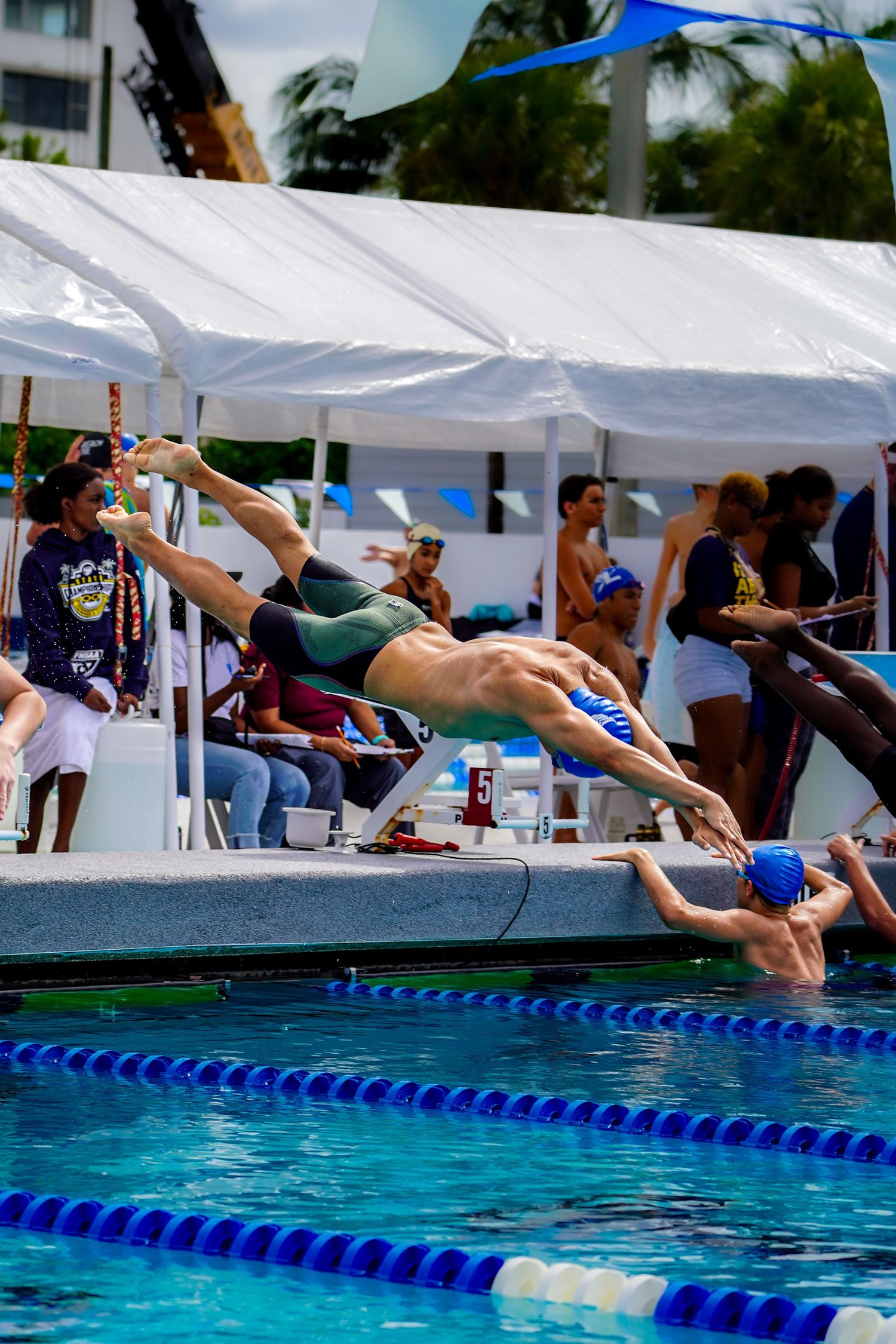 Swimmer diving into pool during competitive race with spectators watching.