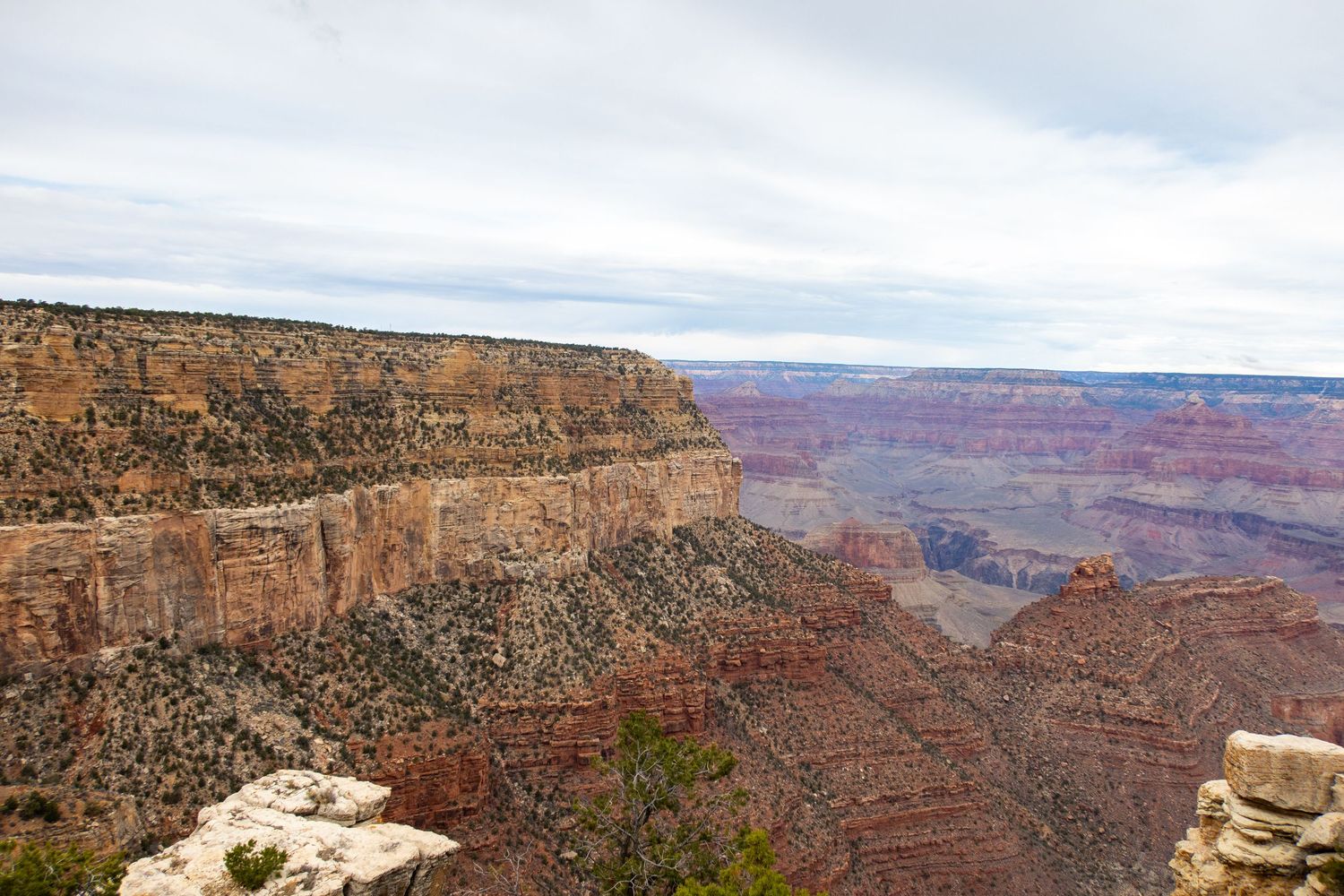 Panoramic vista of the Grand Canyon showing its vast expanse and colorful sedimentary layers.