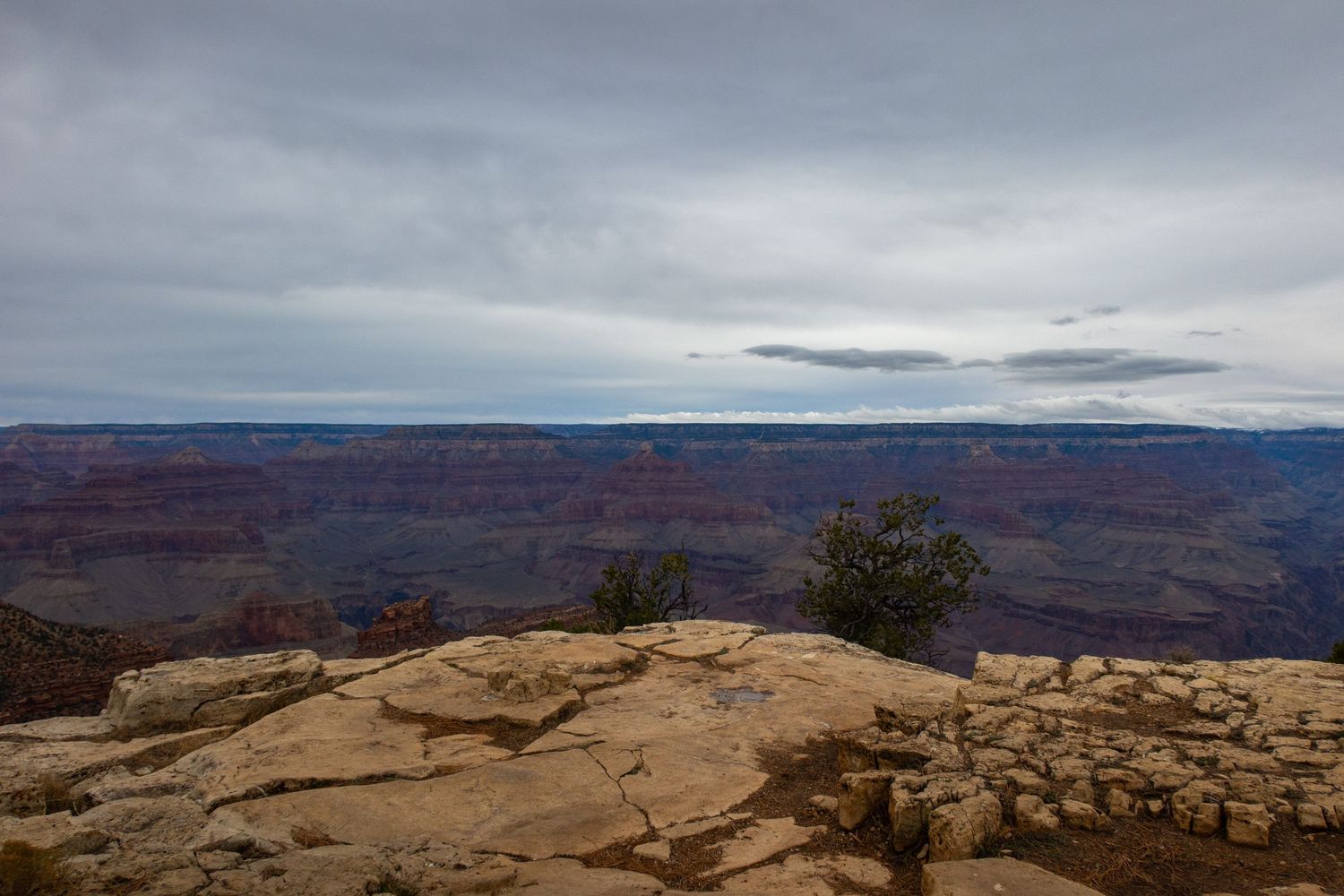 Sweeping vista of Grand Canyon's rocky cliffs and deep valleys on an overcast day.