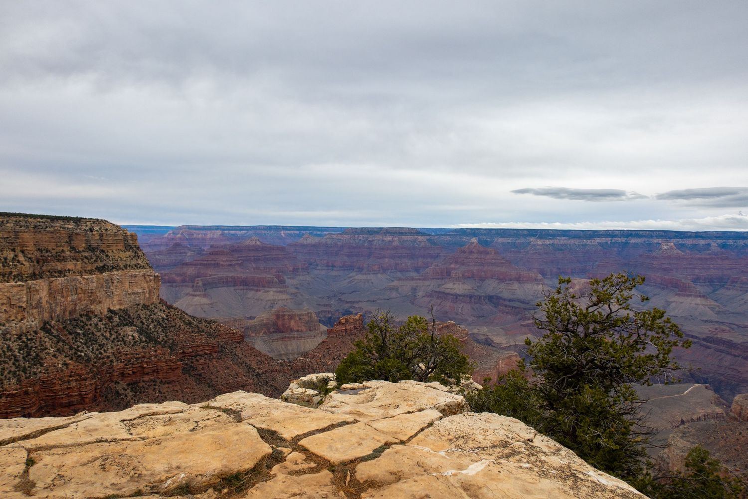 Scenic overlook showcasing the Grand Canyon's dramatic cliffs and valleys.