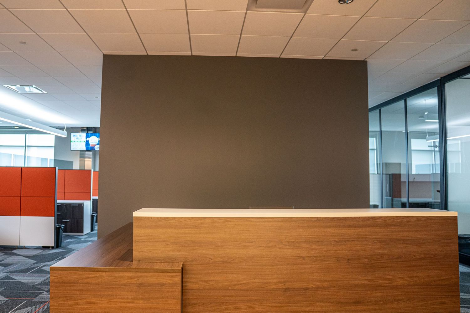 Contemporary office hallway featuring wooden accent walls and suspended ceiling tiles.