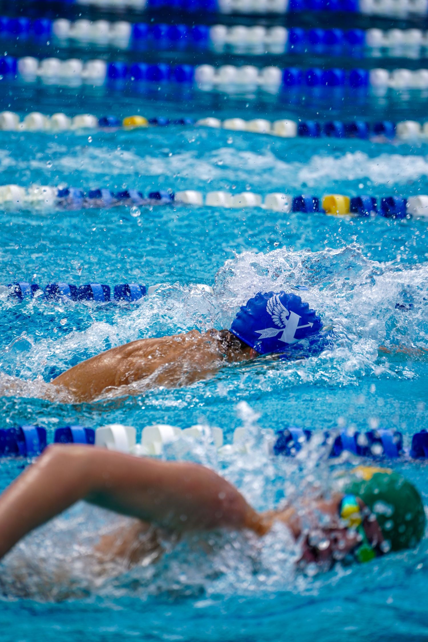 Competitive swimmer racing freestyle in pool with blue lane dividers.