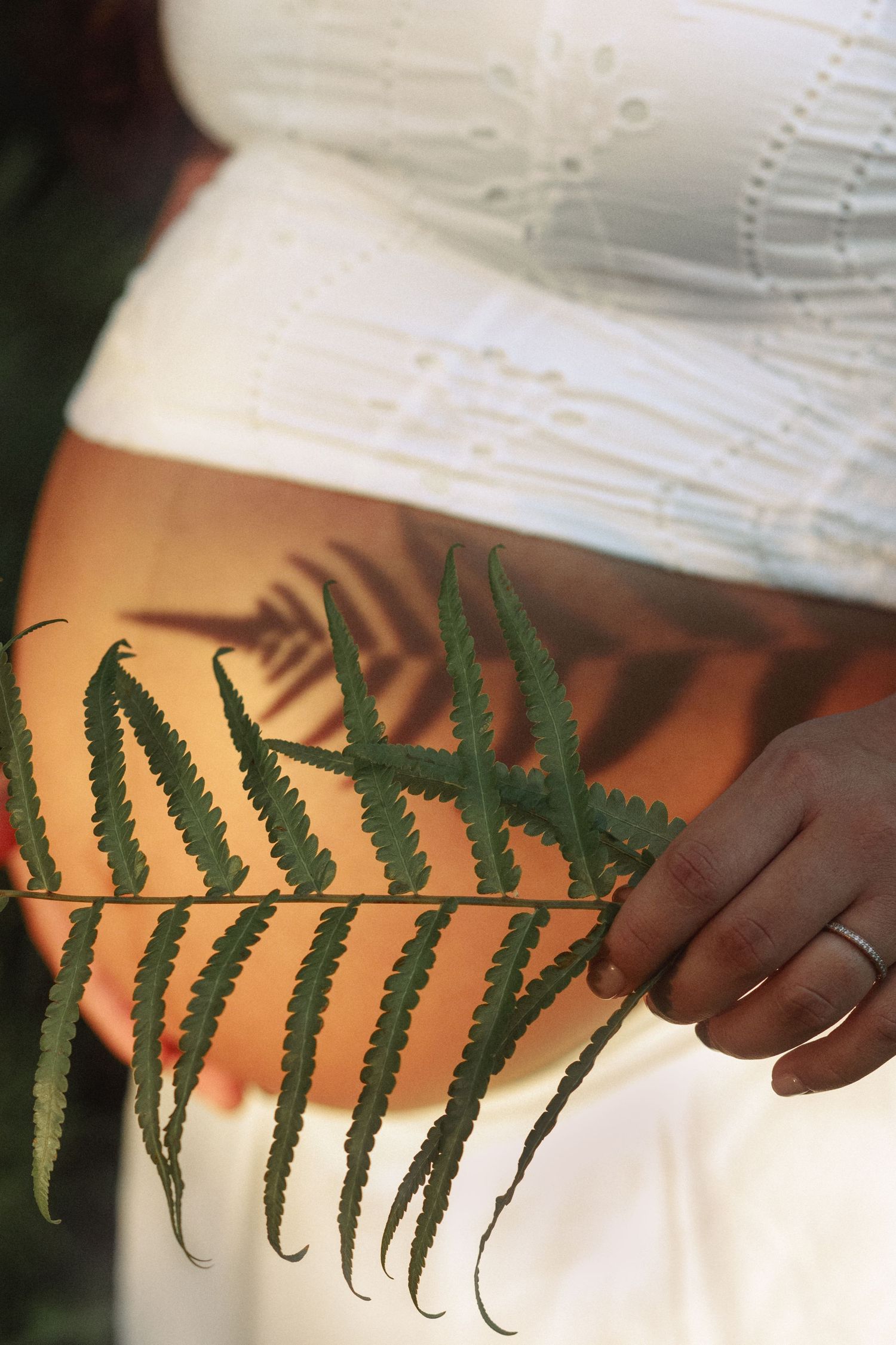 tampa newborn photos