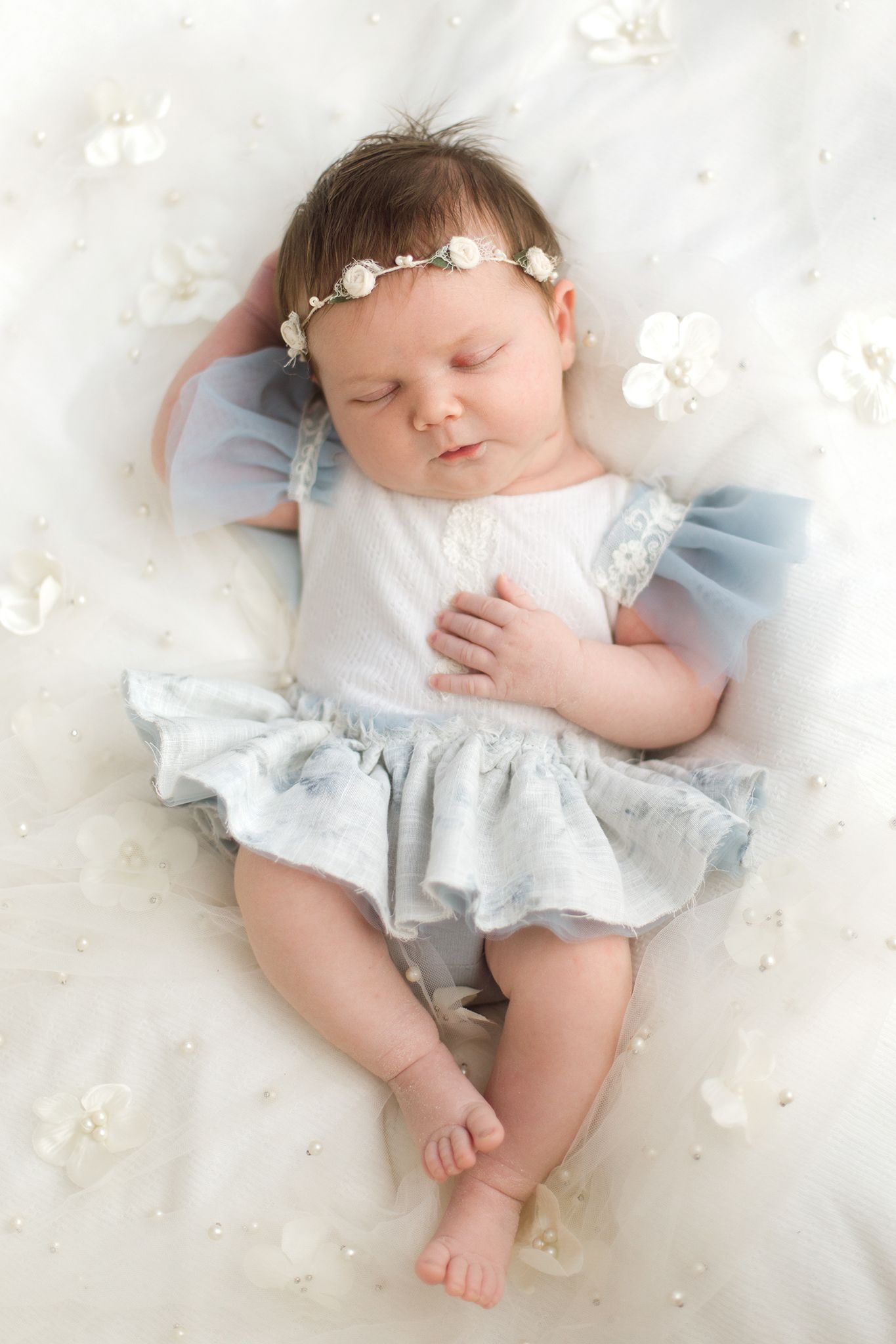 clearwater baby photography studio session