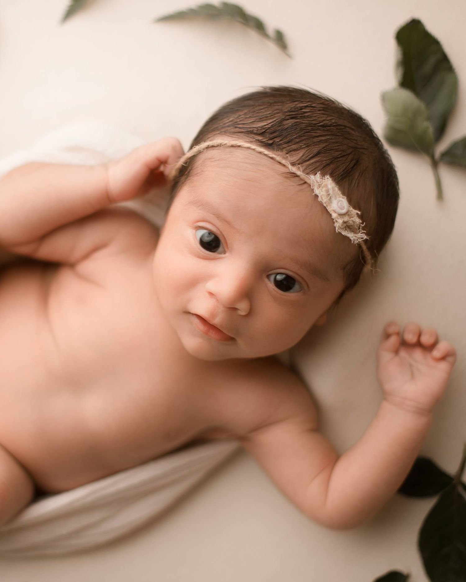 seminole St. Petersburg clearwater Tampa bay Florida newborn and baby child photographer