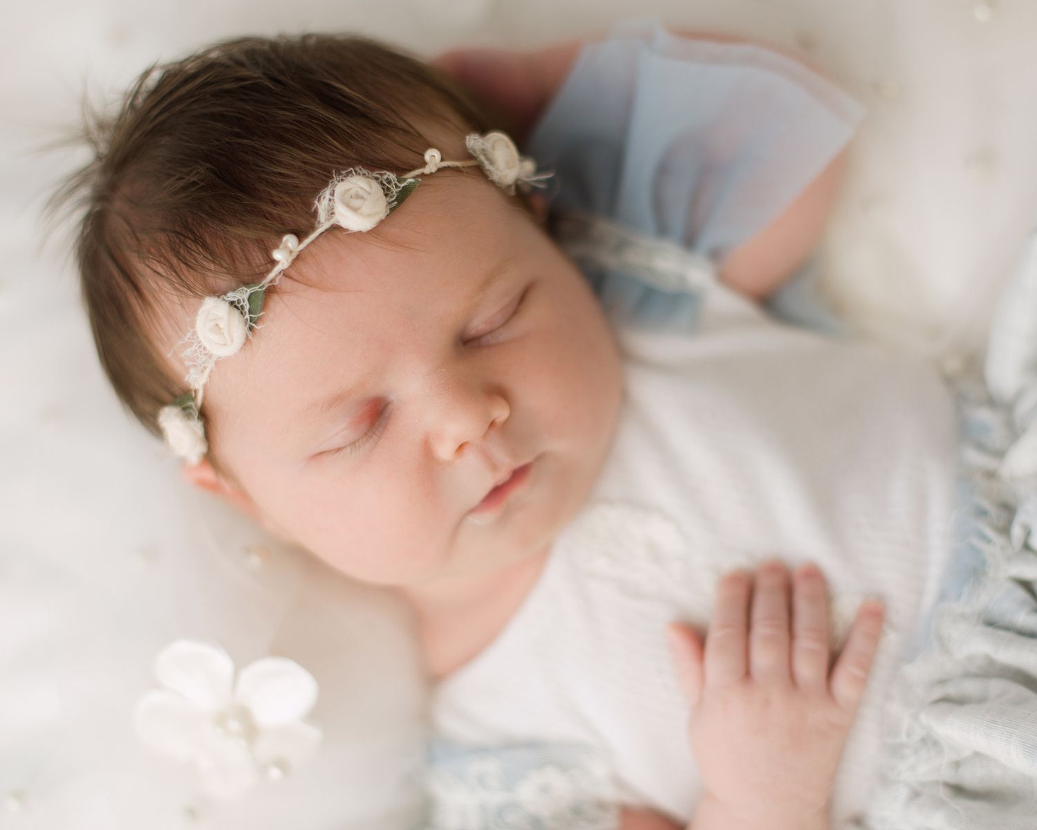 clearwater baby photos first session
