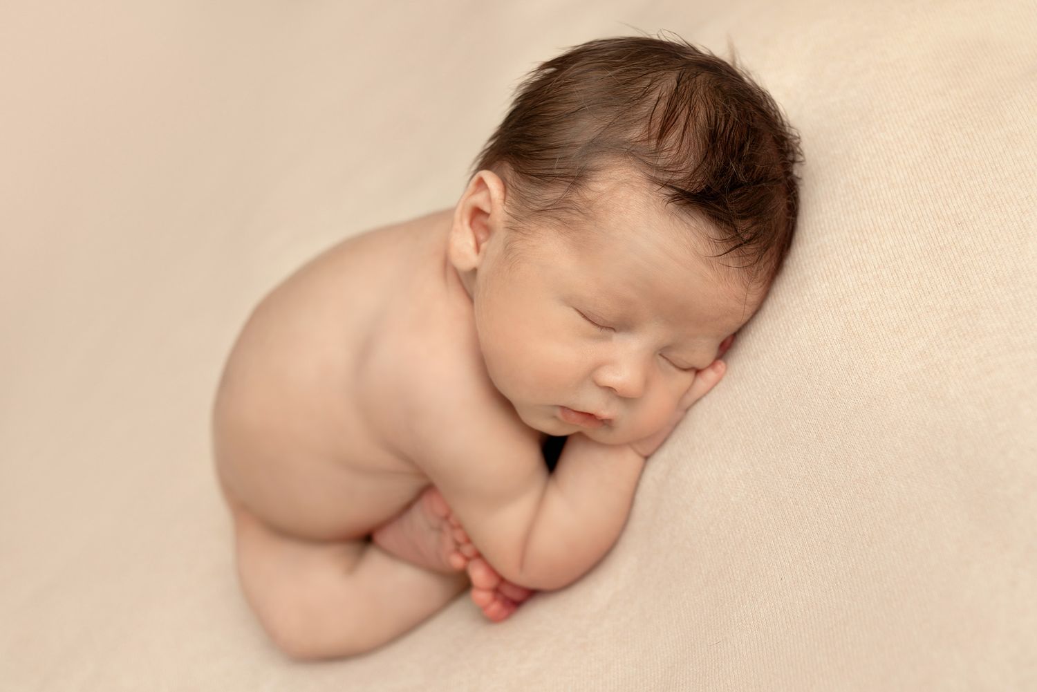 seminole St. Petersburg clearwater Tampa bay Florida newborn and baby child photographer