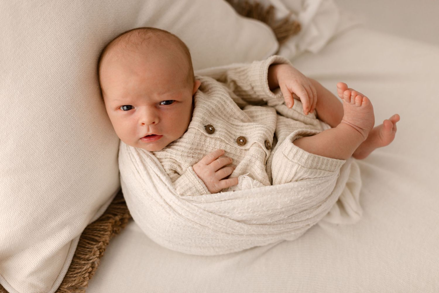 tampa baby photos