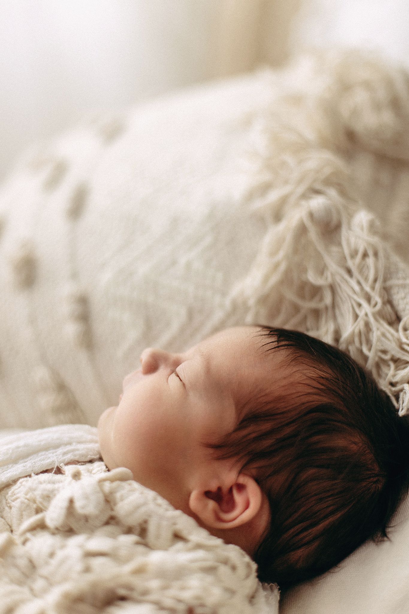 baby photography studio tampa fl