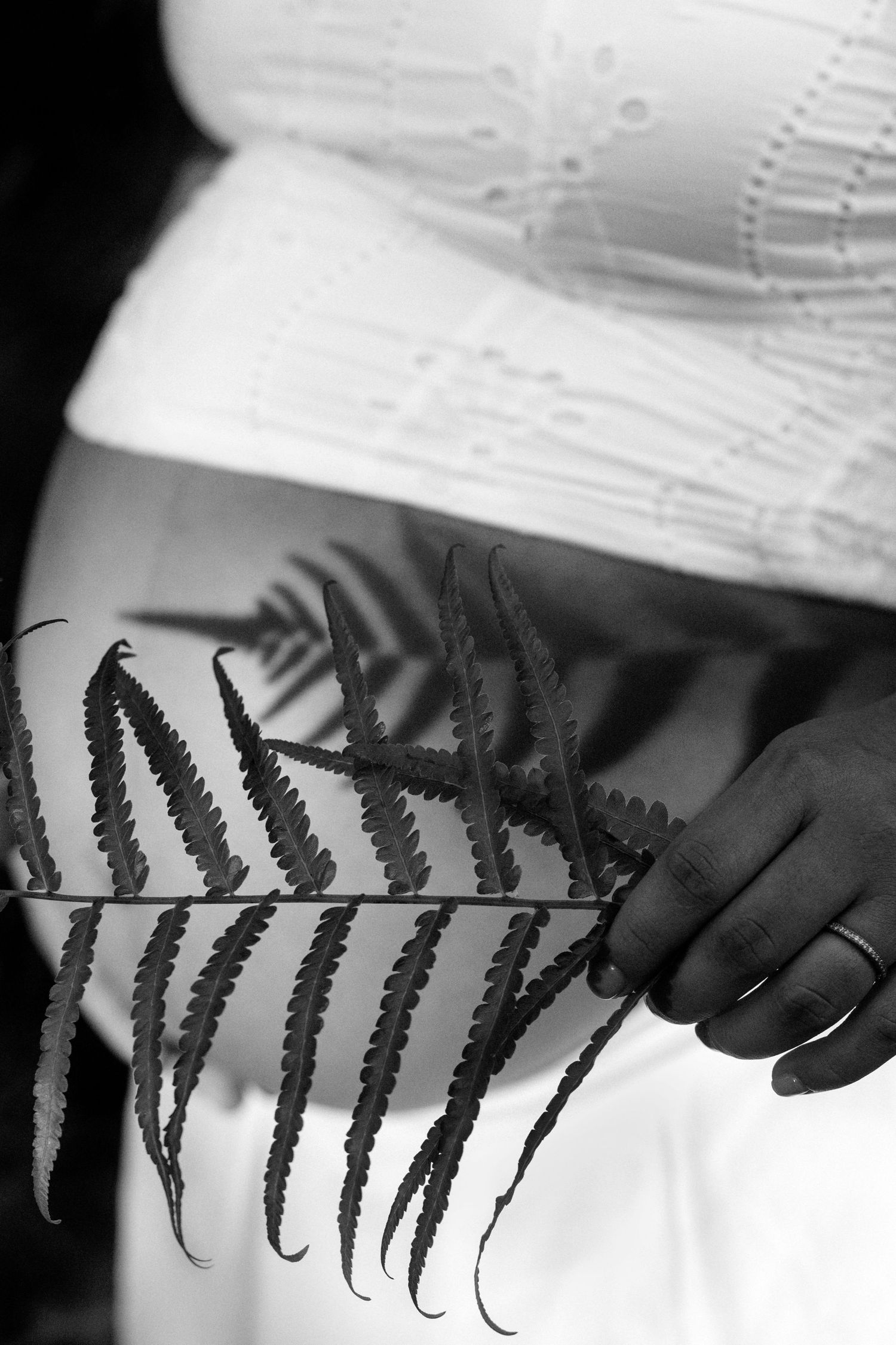 Black and white close-up of a pregnant woman holding a fern leaf against her baby bump.