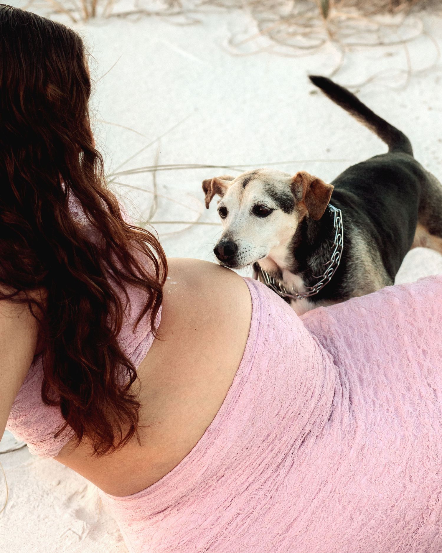 pregnancy photoshoot tampa, fl
