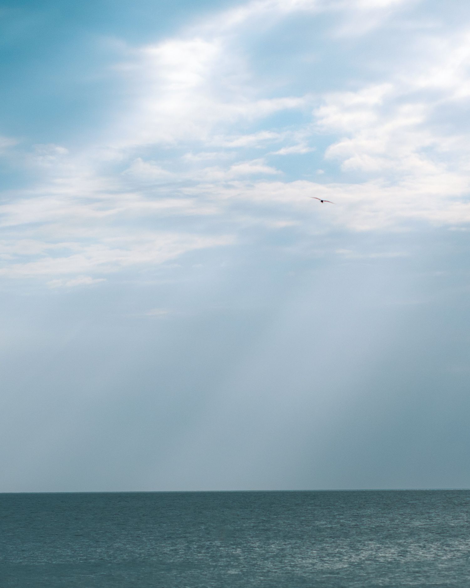 A lone bird soars over calm ocean waters beneath dramatic rays of sunlight breaking through cloudy blue skies.
