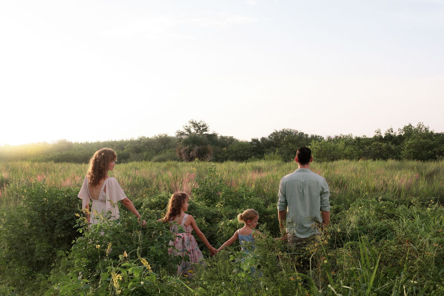 Family of four holding hands and walking through tall green grass in an open field at golden sunset with trees on the horizon.