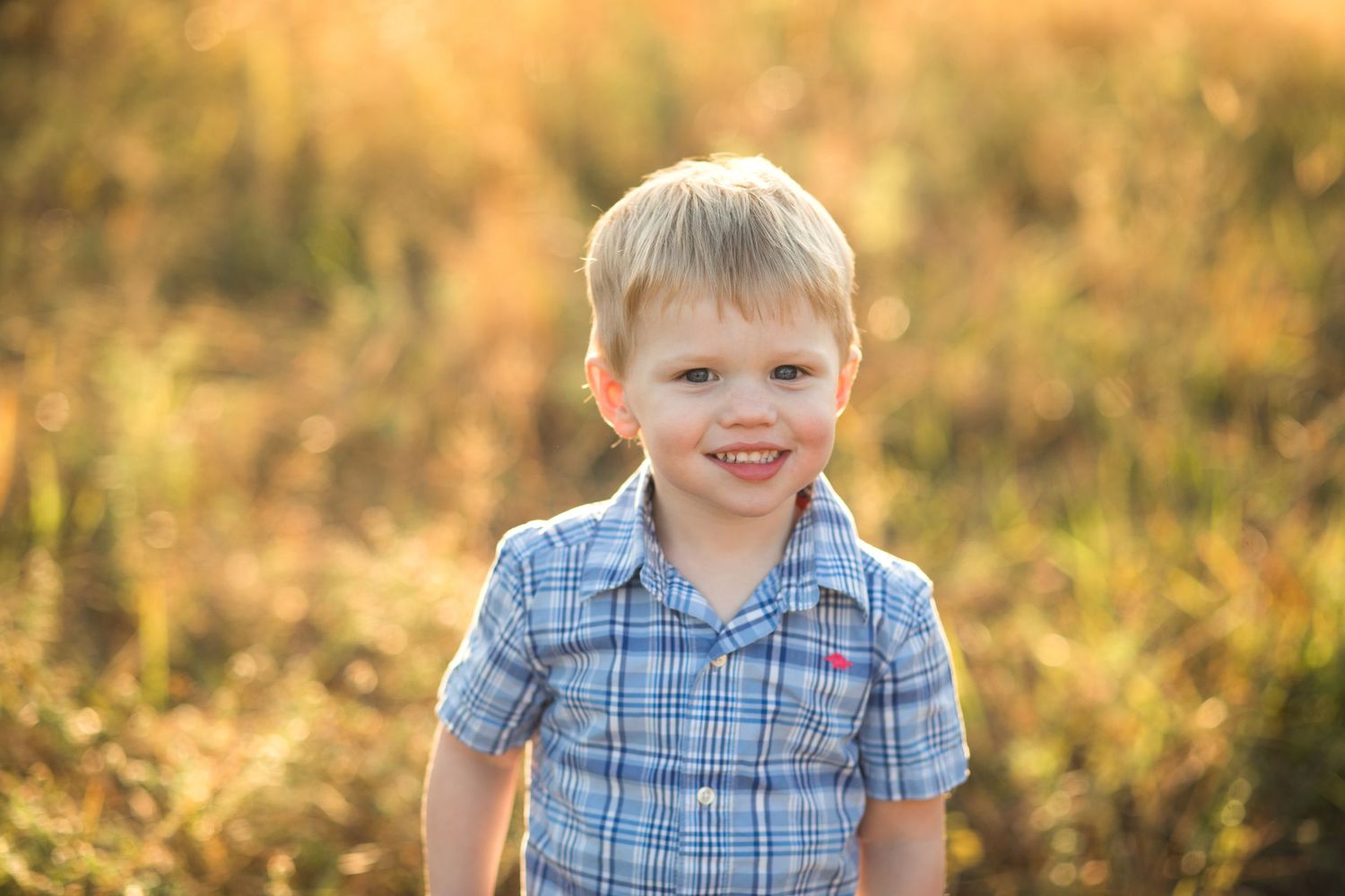 Smiling blond boy in plaid shirt standing in golden sunlit field, outdoor portrait photography.