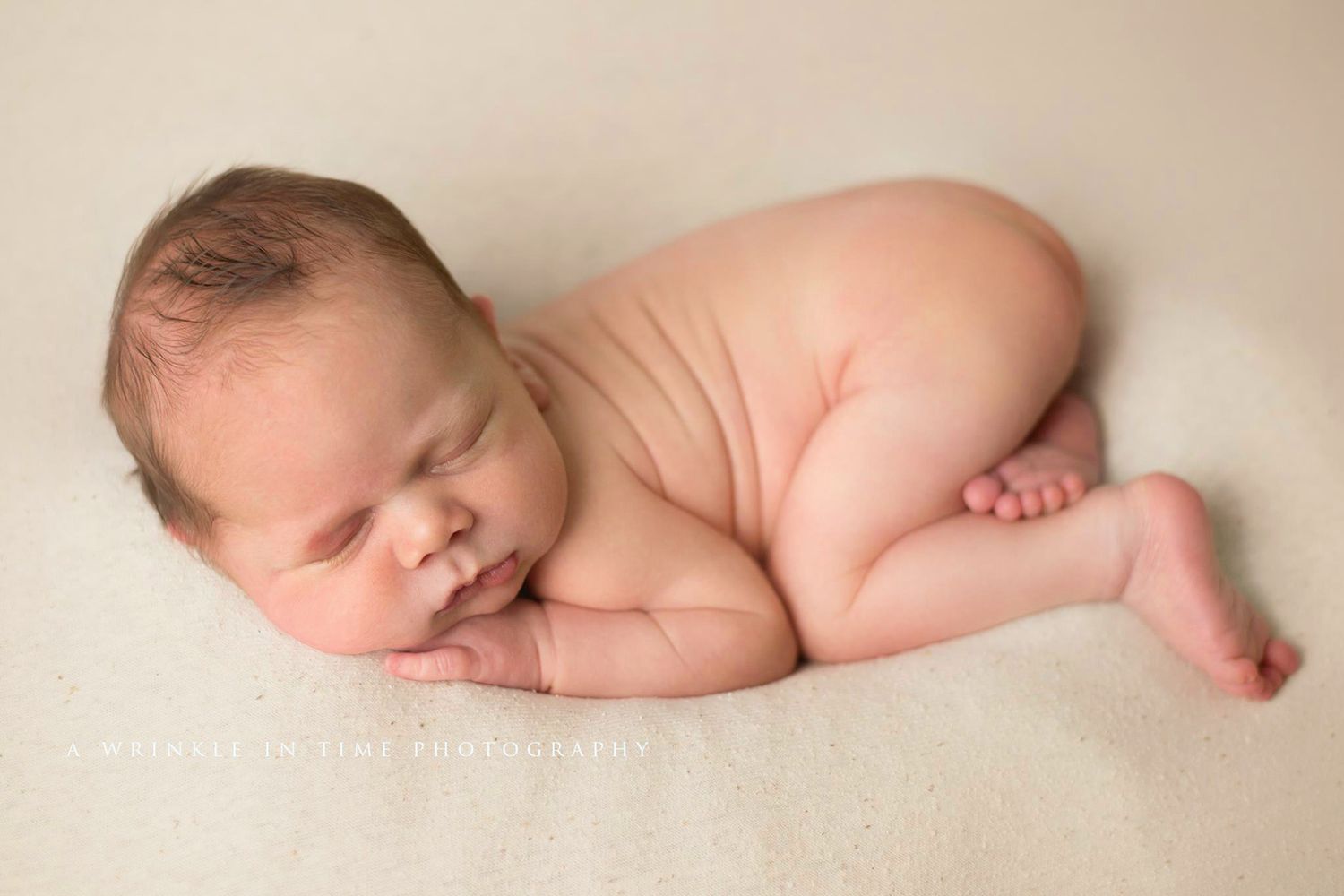 tampa newborn and baby photography session photoshoot