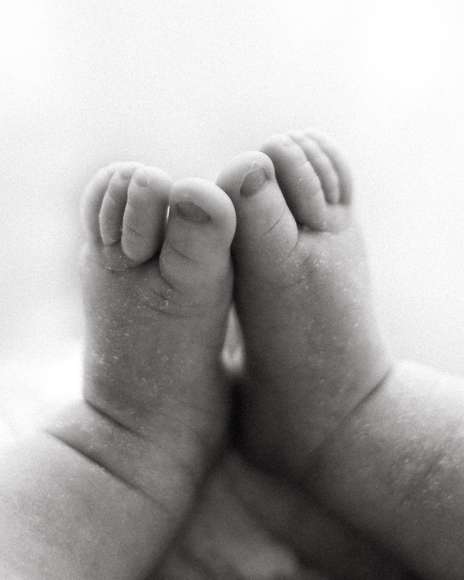 newborn baby photo session near me