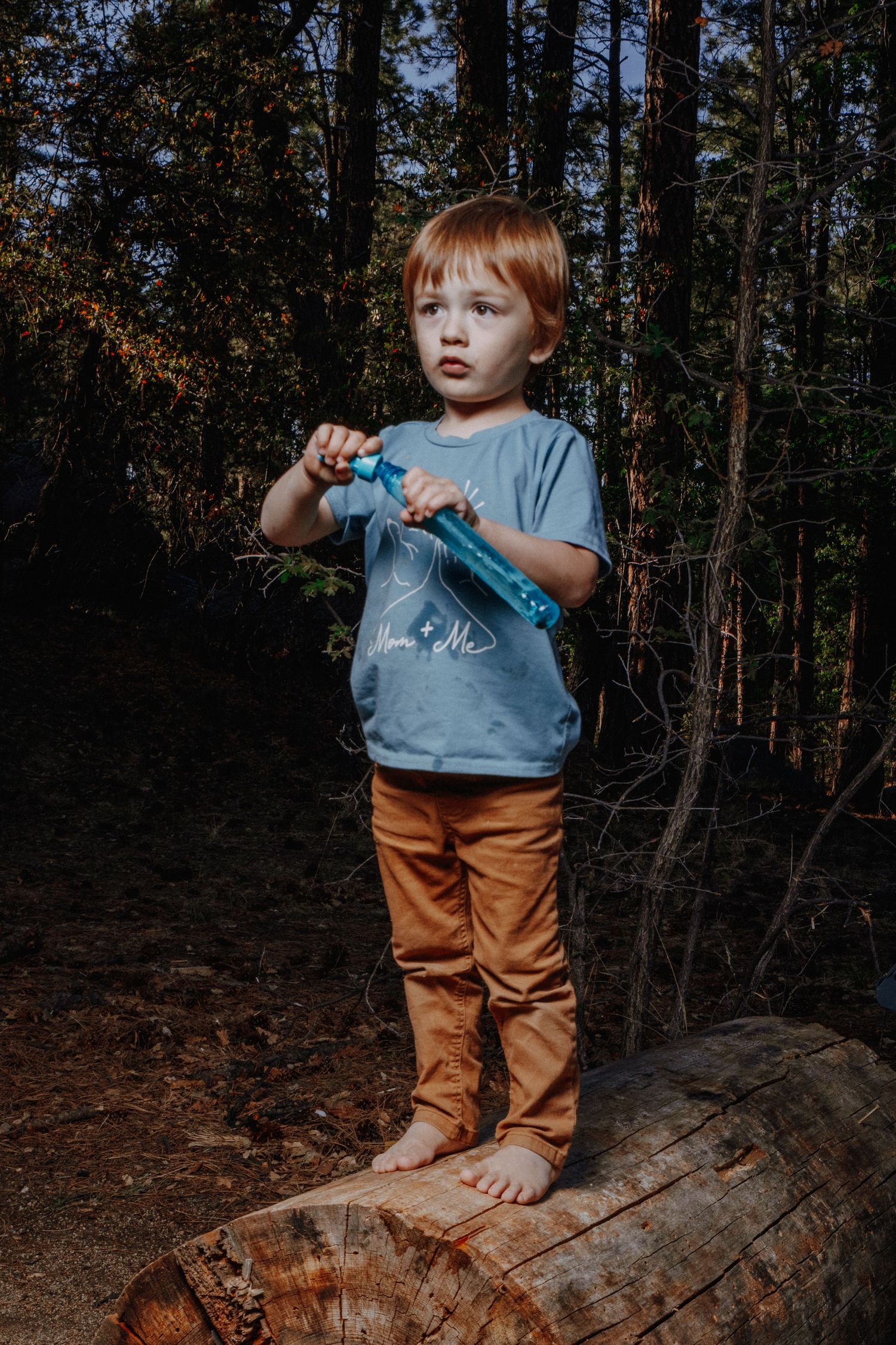 Small child in blue shirt and brown pants playing on fallen log in wooded area.