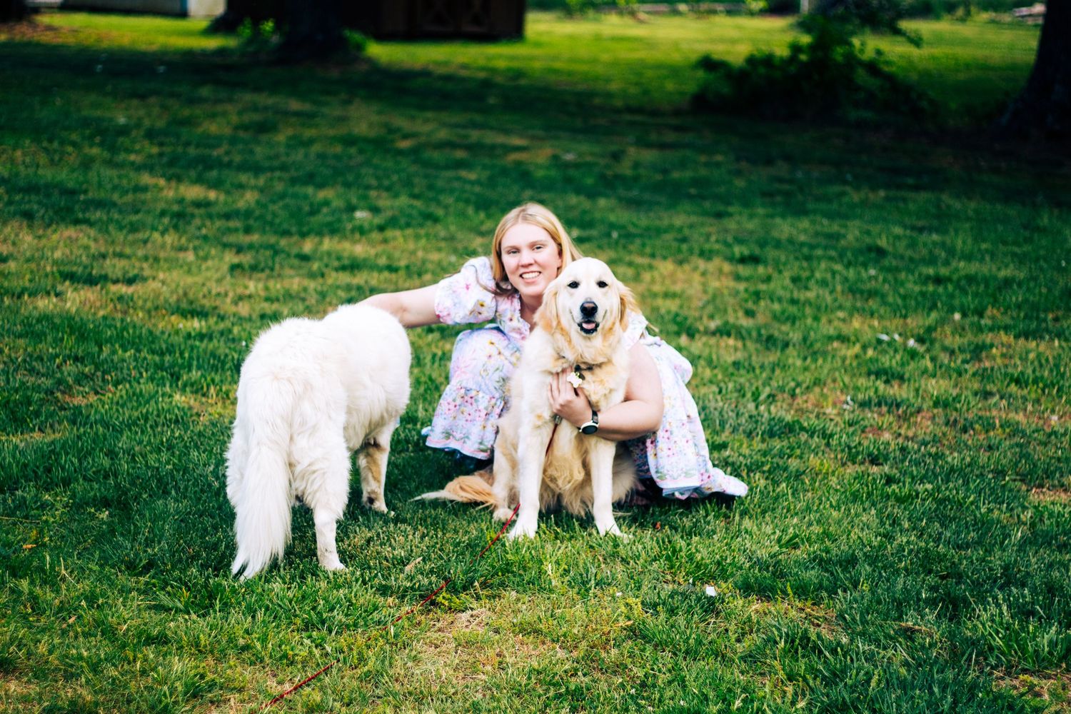 Smiling woman posing on lush green lawn with two large white dogs in a sunny park setting.