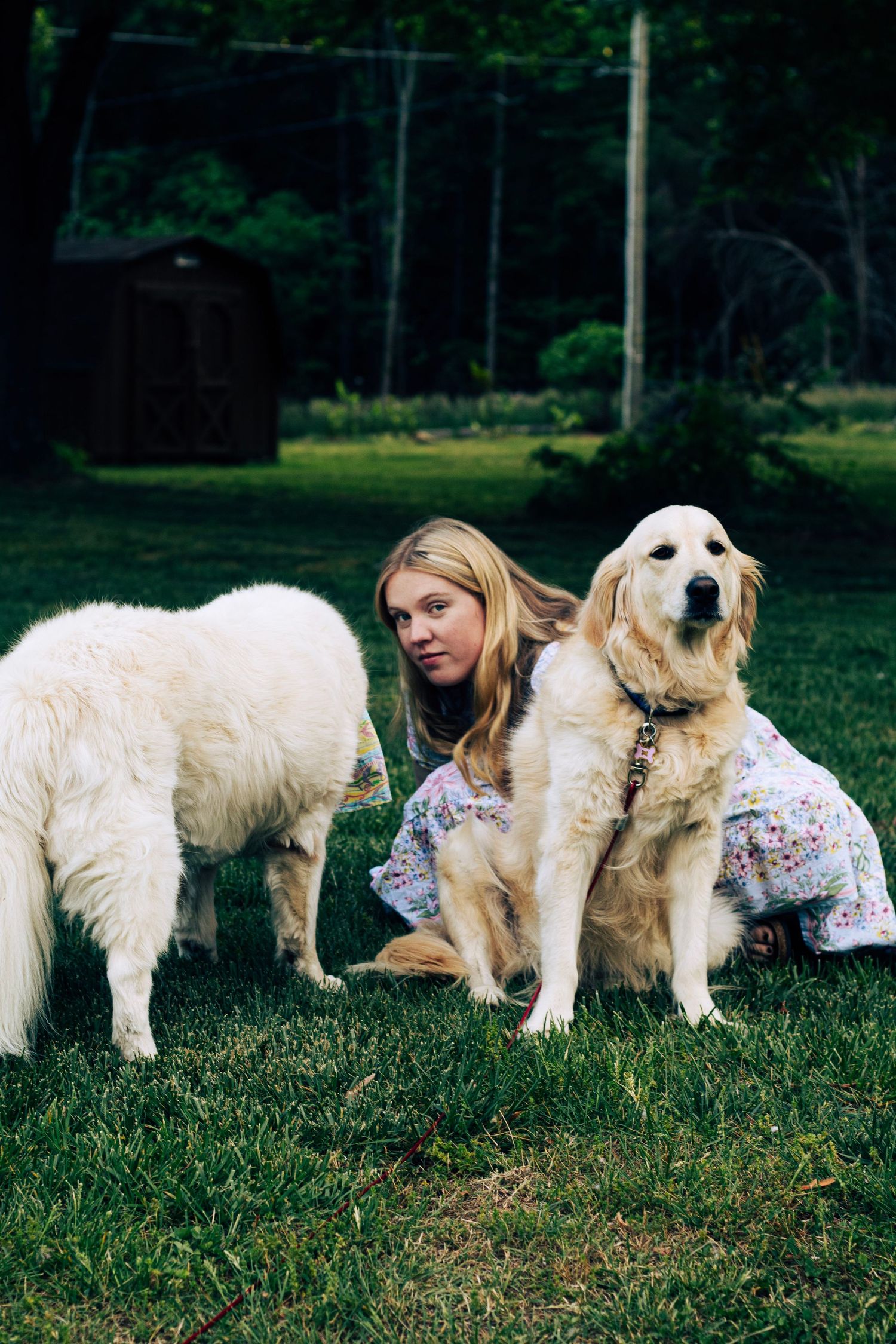 Young blonde woman sitting on green grass with a golden retriever and a white fluffy dog outdoors.