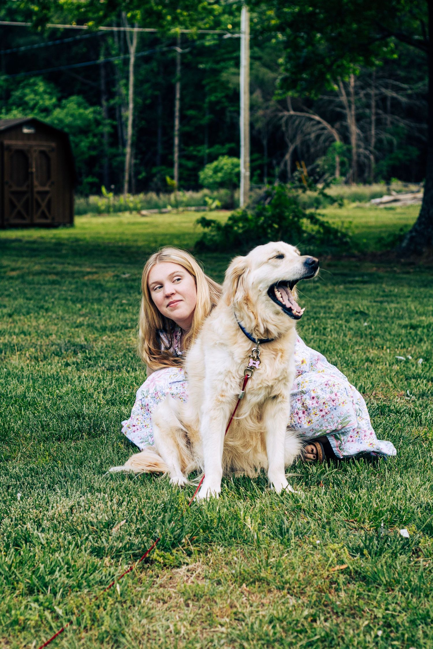 Smiling young woman sitting on grass with a yawning golden retriever dog in a lush green backyard.