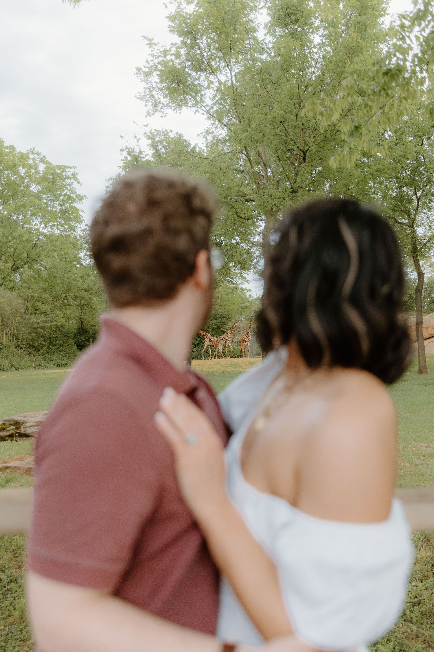 Couple embracing outdoors near trees with a giraffe visible in the background at a zoo or safari park.