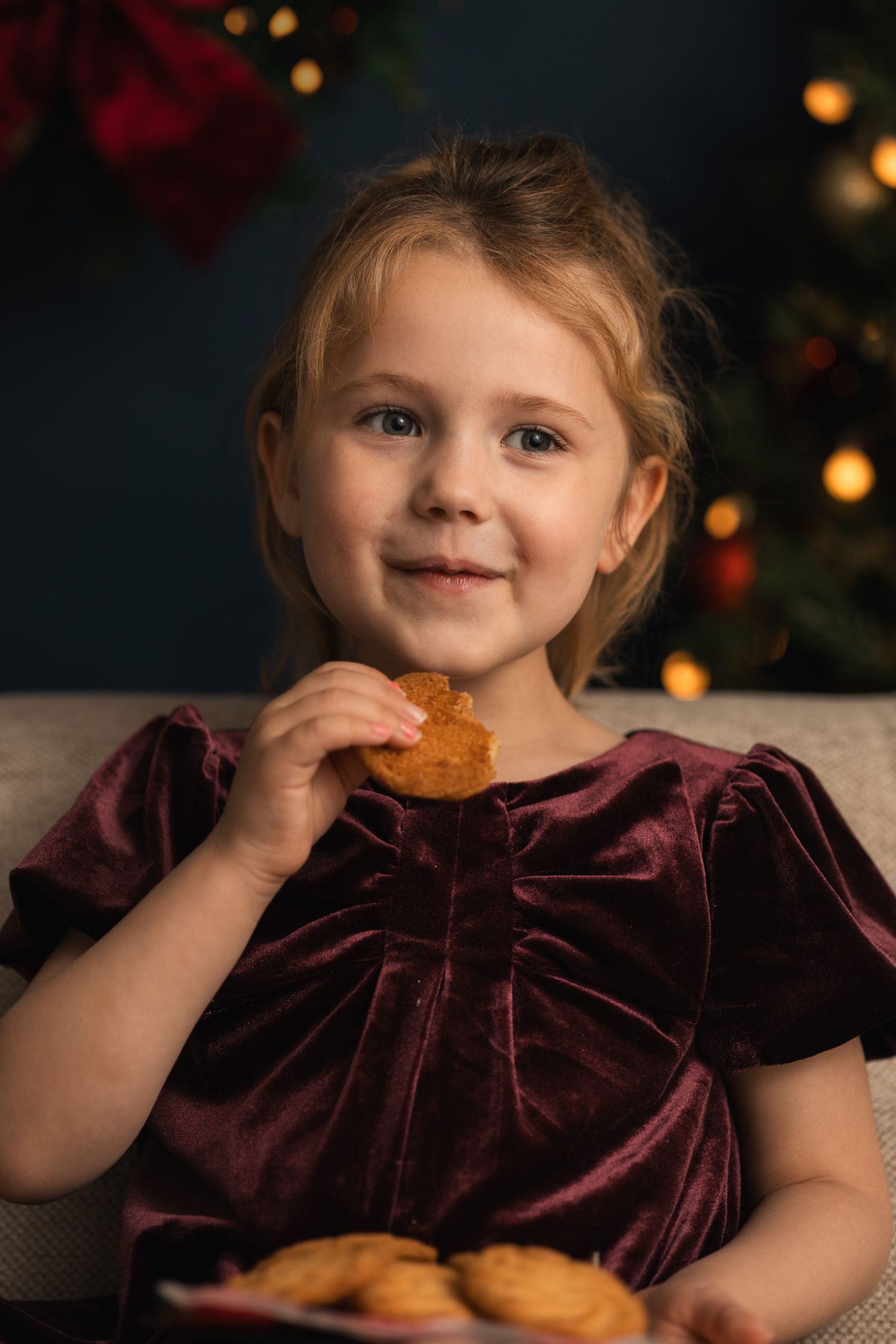 Young girl in burgundy velvet dress eating Christmas cookies near a decorated holiday tree.